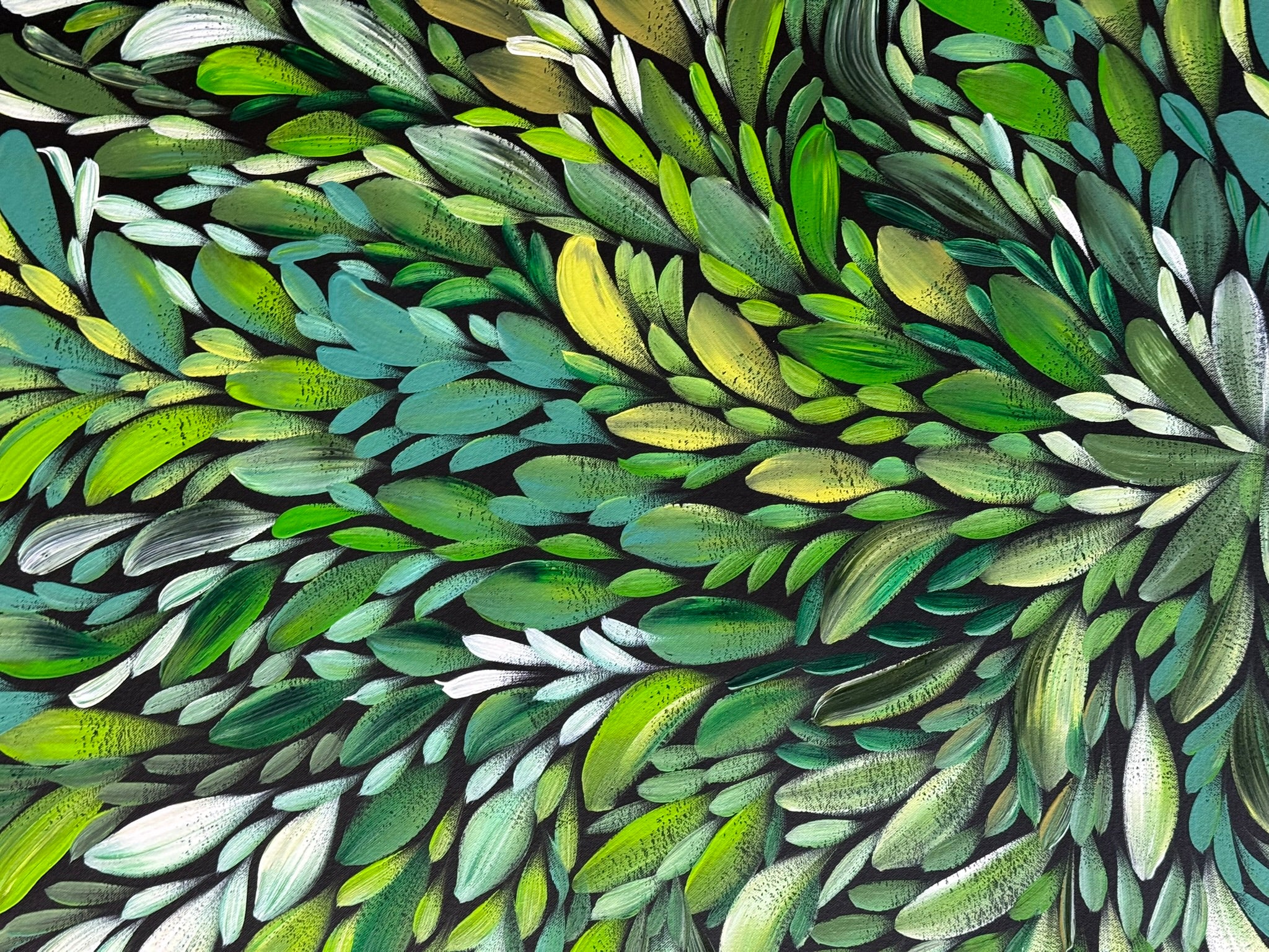 Louise Numina Napananka - Bush Medicine Leaves .22-27