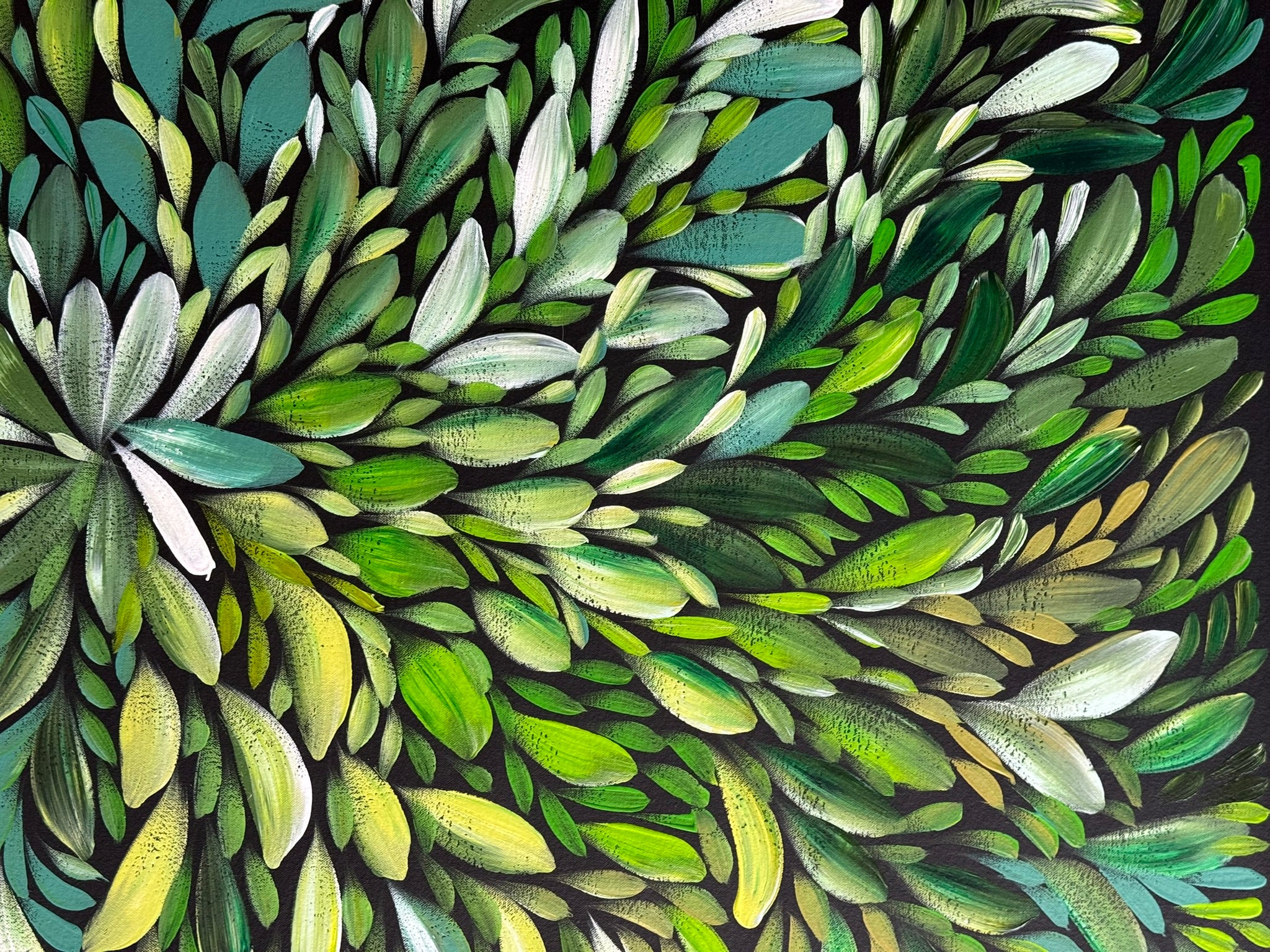 Louise Numina Napananka - Bush Medicine Leaves .22-27