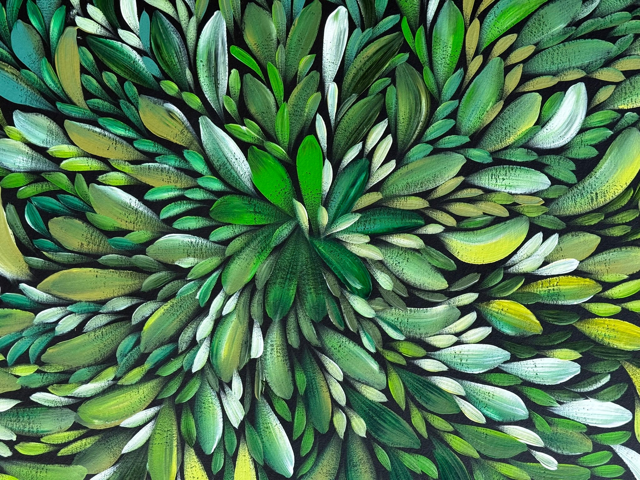 Louise Numina Napananka - Bush Medicine Leaves .22-15