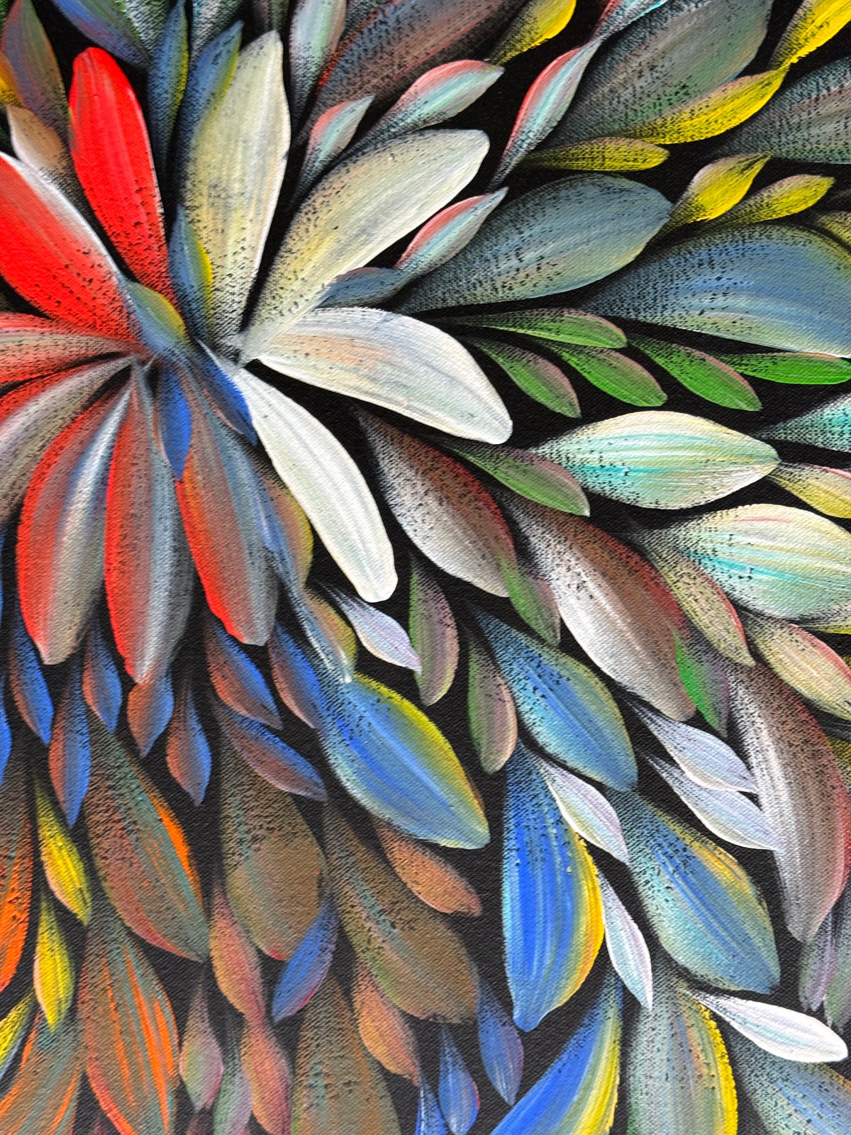 Louise Numina Napananka - Bush Medicine Leaves .36-28