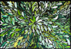 Louise Numina Napananka - Bush Medicine Leaves .22-14