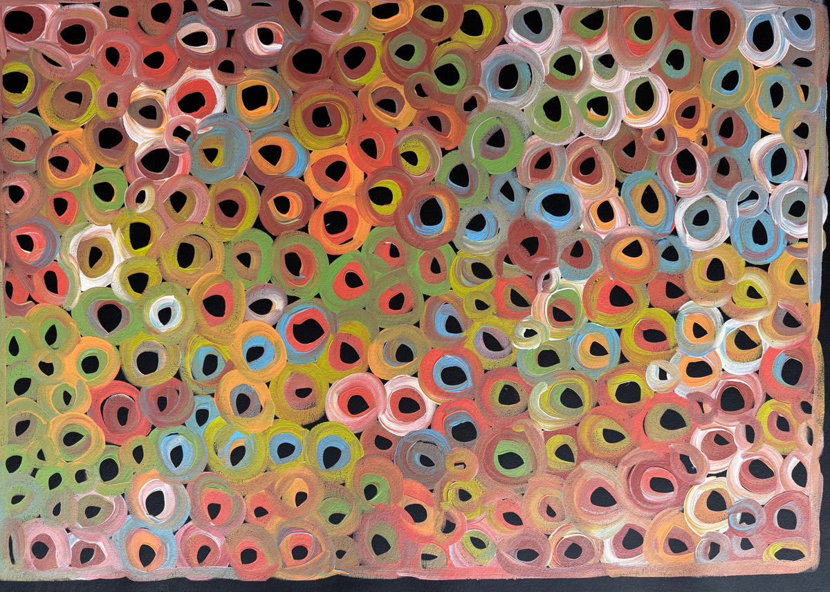 Louise Numina Napananka - Water Soakage .23-14