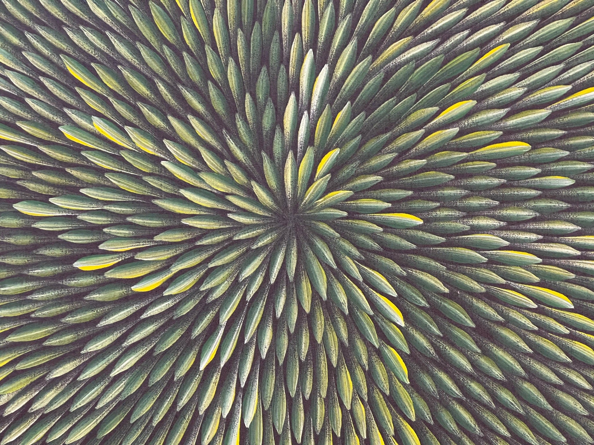 Maryanne Gibson - Bush Medicine - 89x42cm .56-29