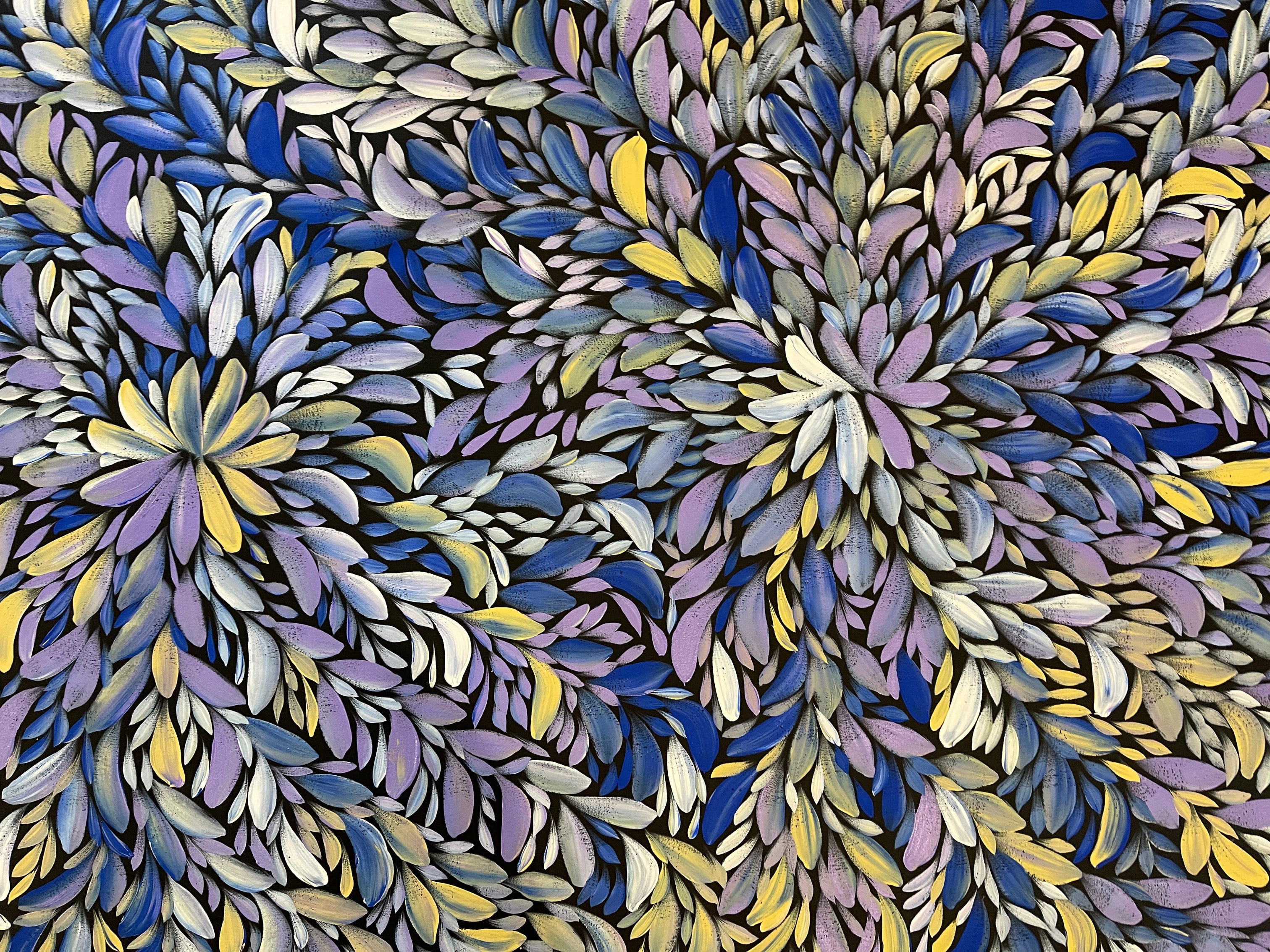 Louise Numina Napananka - Bush Medicine Leaves - 202x118cm .13-1