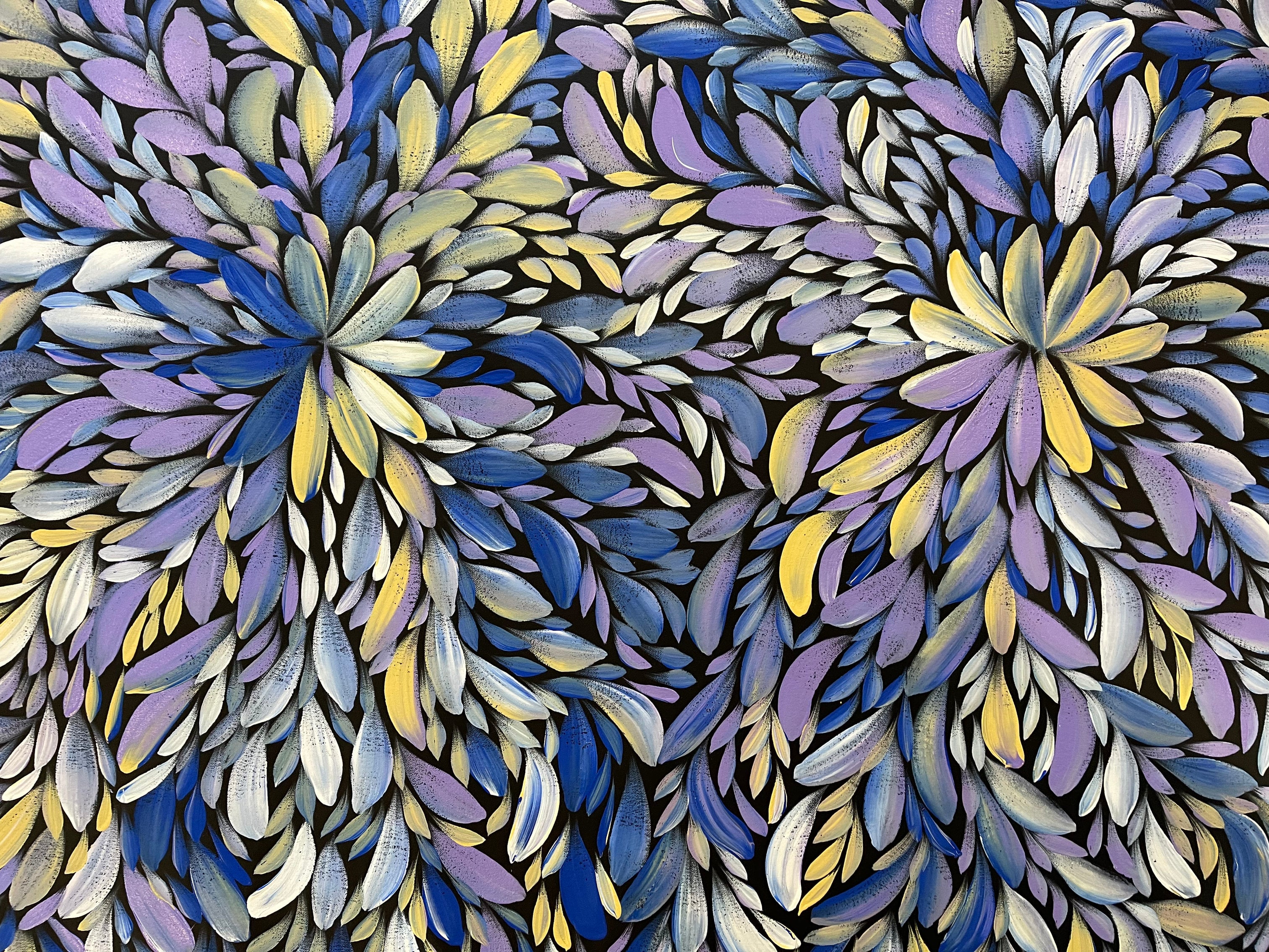 Louise Numina Napananka - Bush Medicine Leaves - 202x118cm .13-1