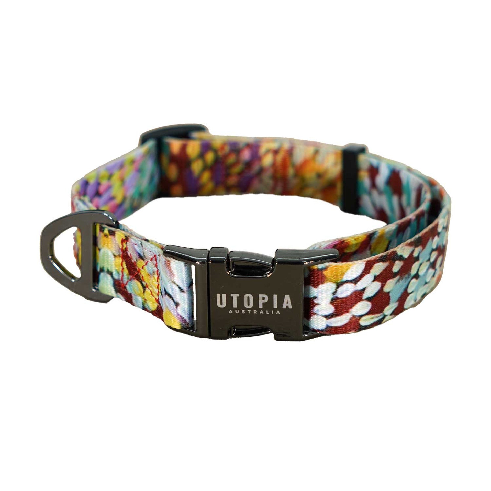 Dog Collar - Janelle Stockman