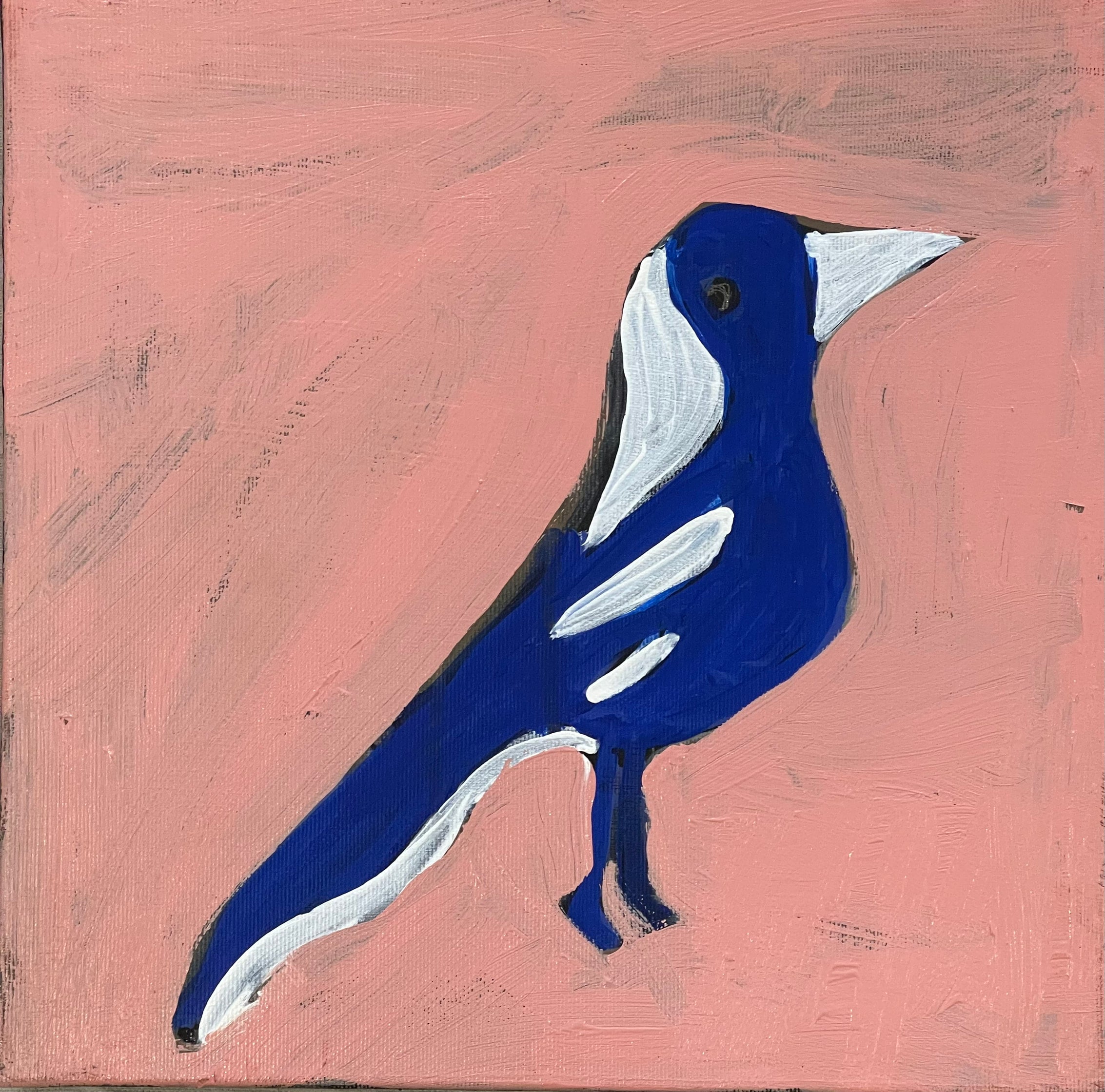 Lola Nampijinpa Brown - Jurlpu kuja kalu nyinami Yurntumu-wana (Birds that live around Yuendumu) - 30x30cm Stretched ready to hang
