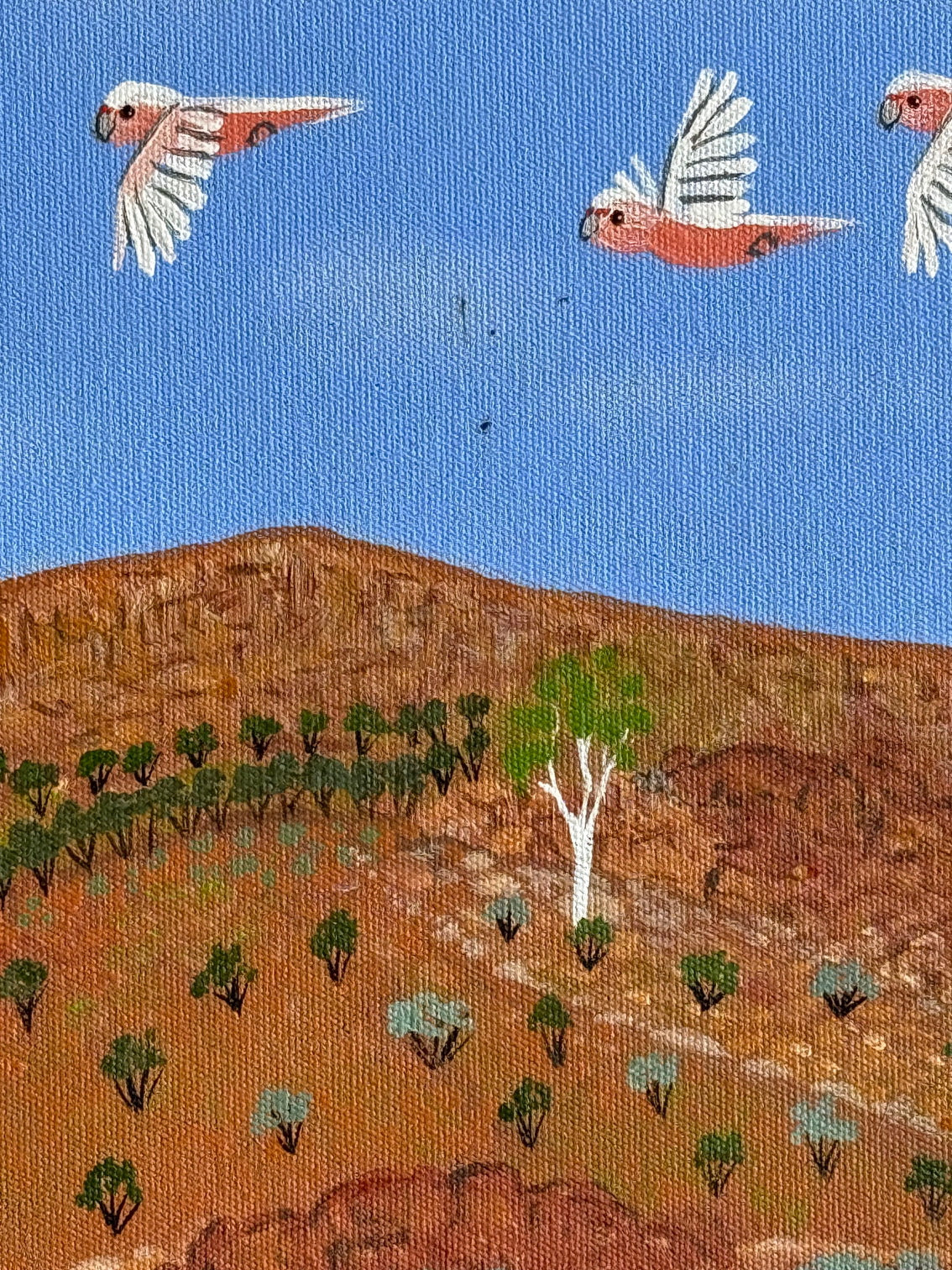 Kathleen Buzzacott - West MacDonnell Ranges .17-17