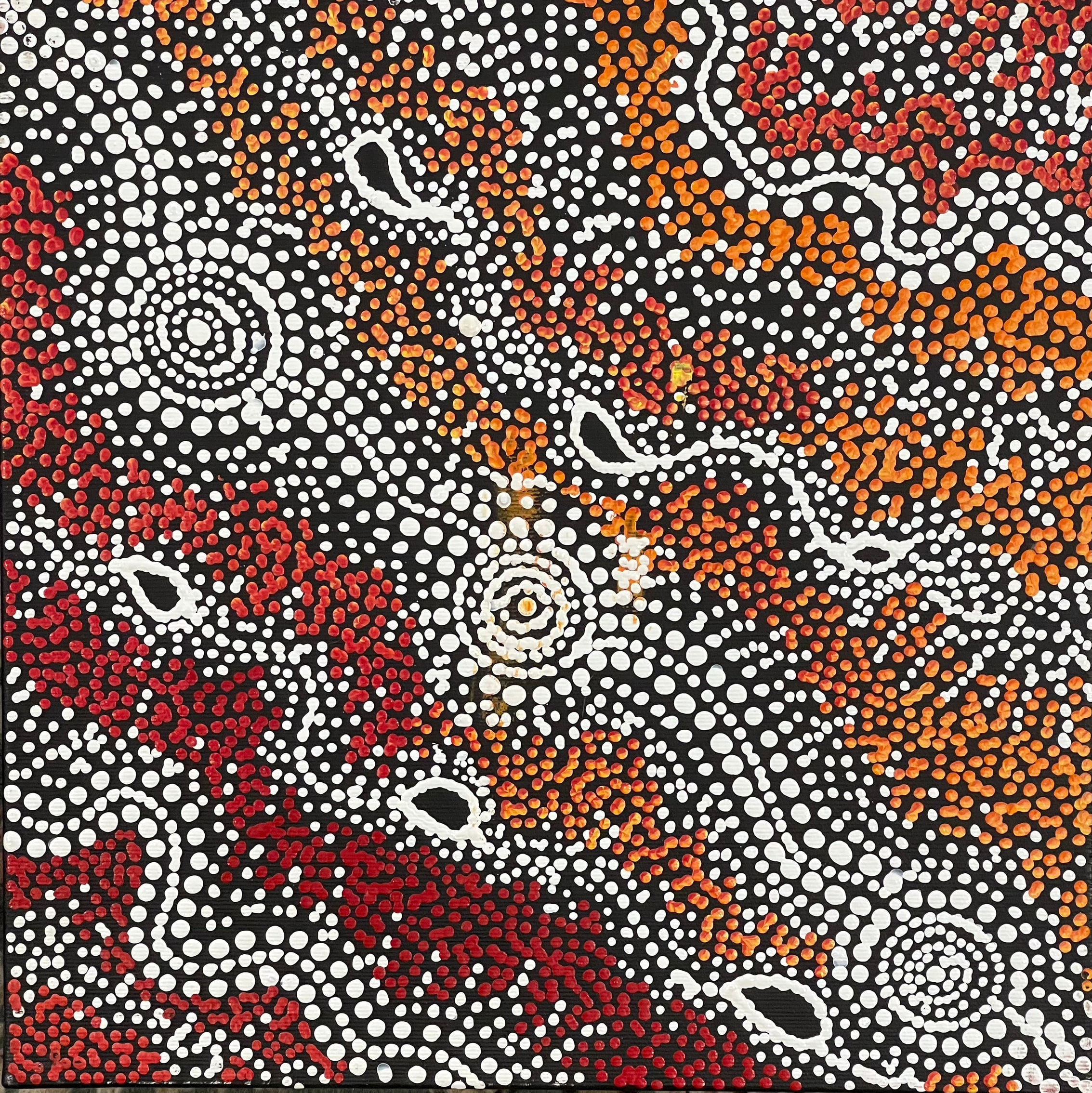 Reanne Nampijinpa Brown - Ngapa Jukurrpa (Water Dreaming) - Mikanji - 30x30cm Stretched ready to hang
