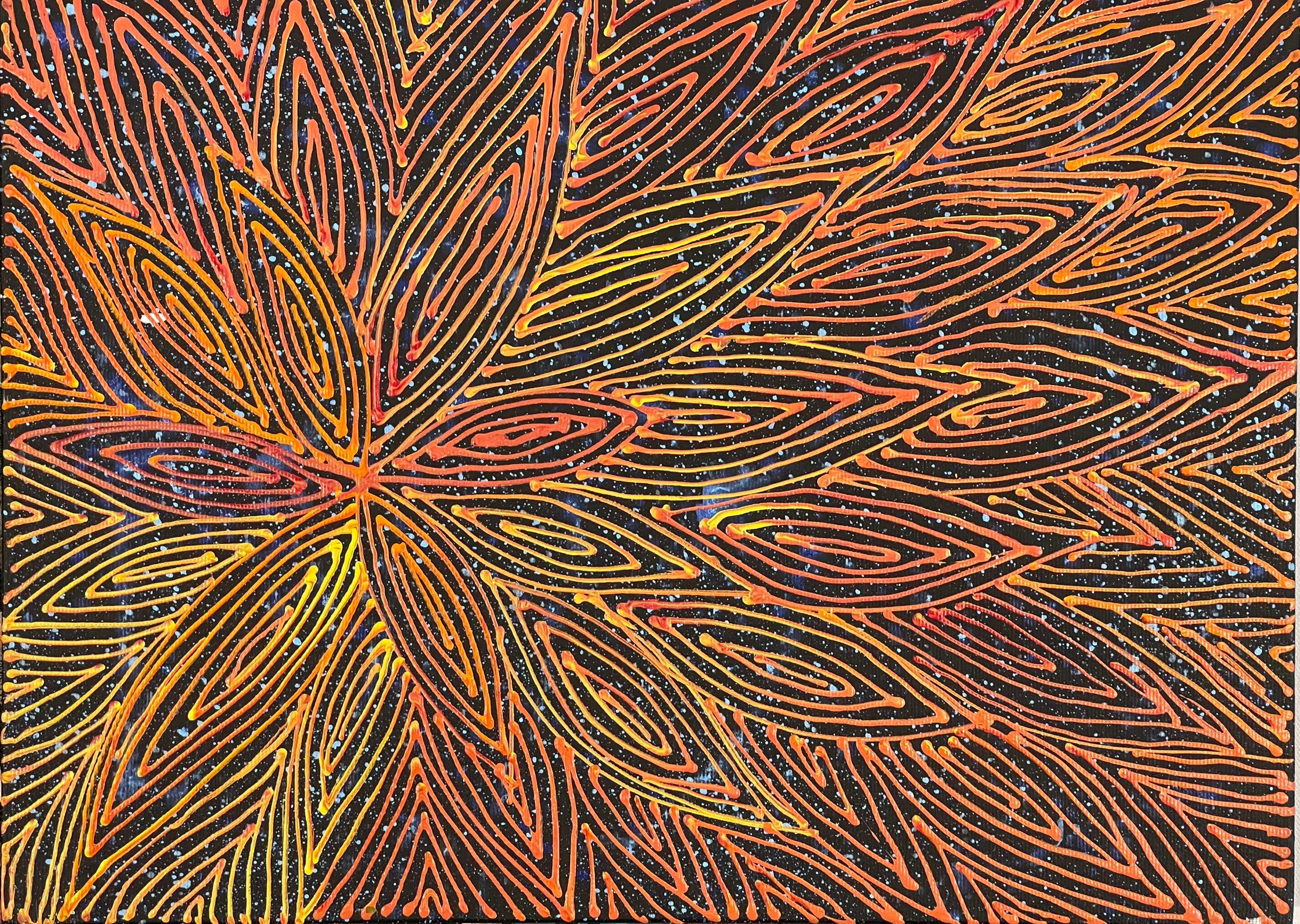 Reanne Nampijinpa Brown - Npaga Jukurrpa (Water Dreaming) - Mikanji - 40x30cm *Stretched ready to hang*