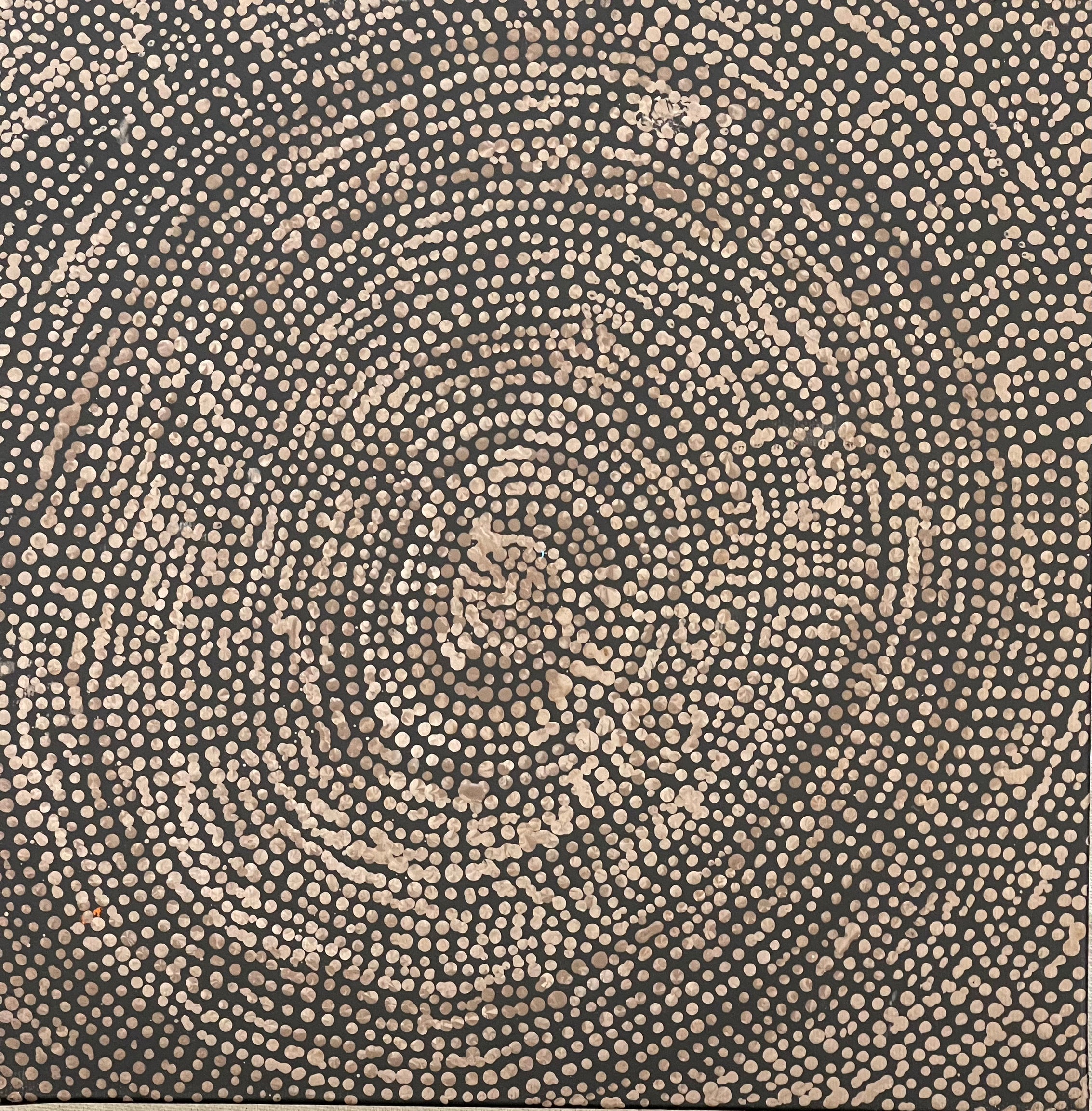 Sarah Napurrurla Leo - Ngapa Jukurrpa (Water Dreaming) - Puyurru - 30x30cm Stretched ready to hang