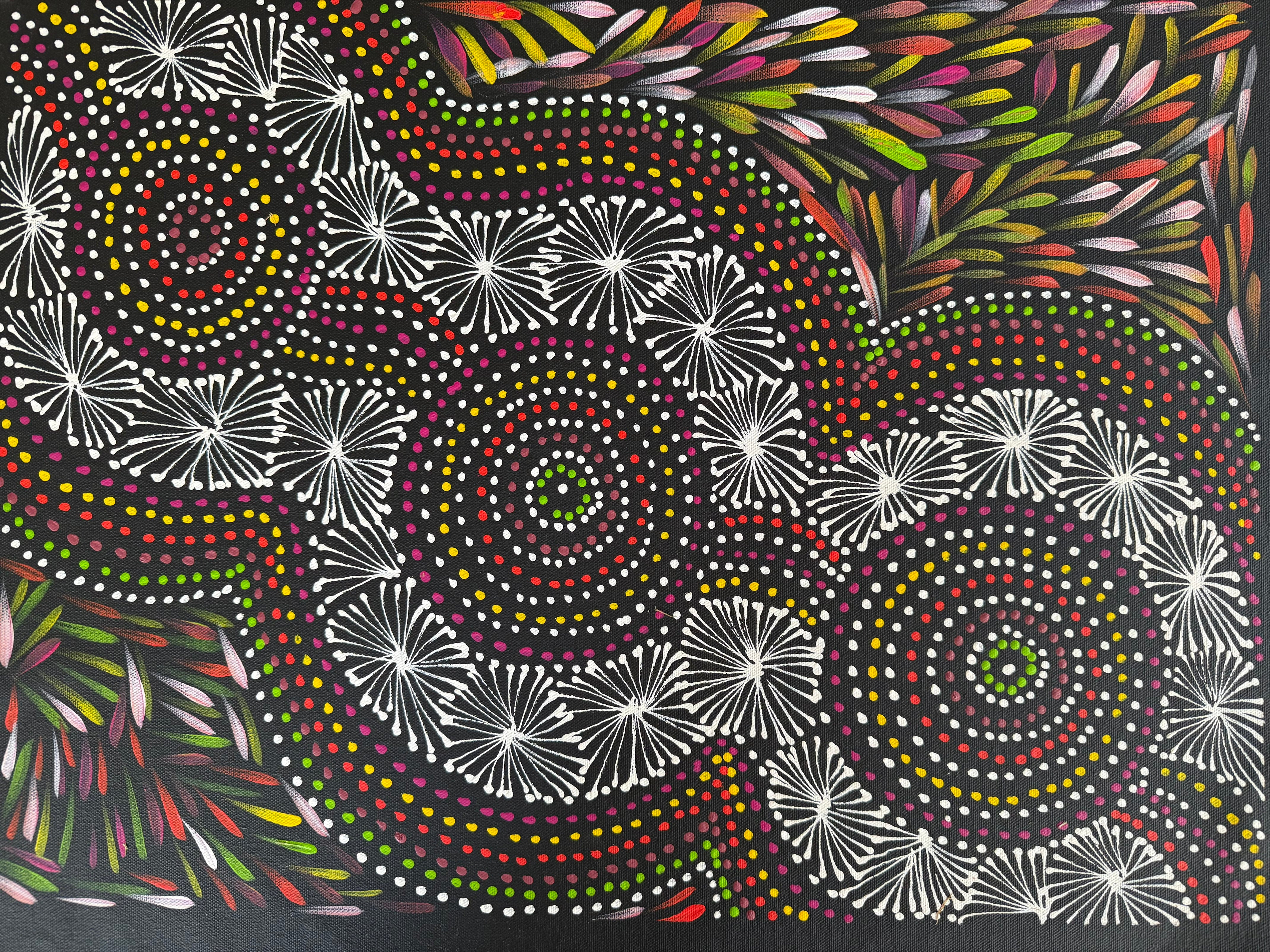 A piece of Aboriginal Art depicting Bush Medicine Leaves, Waterholes, Seeds, painted by Selina Numina Kamprina