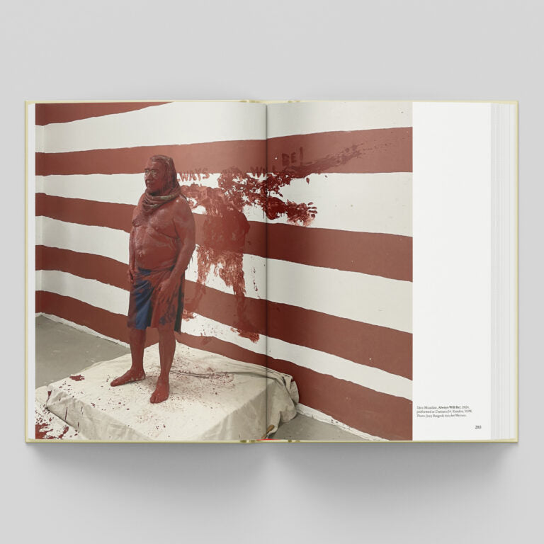 Windows and Mirrors - Djon Mundine