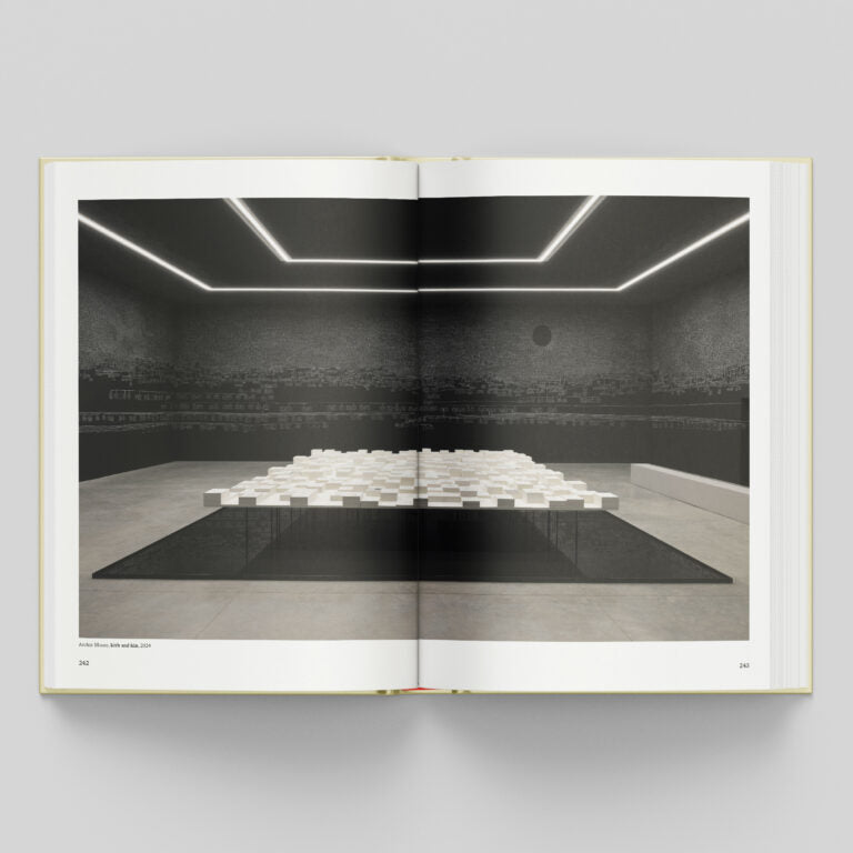 Windows and Mirrors - Djon Mundine
