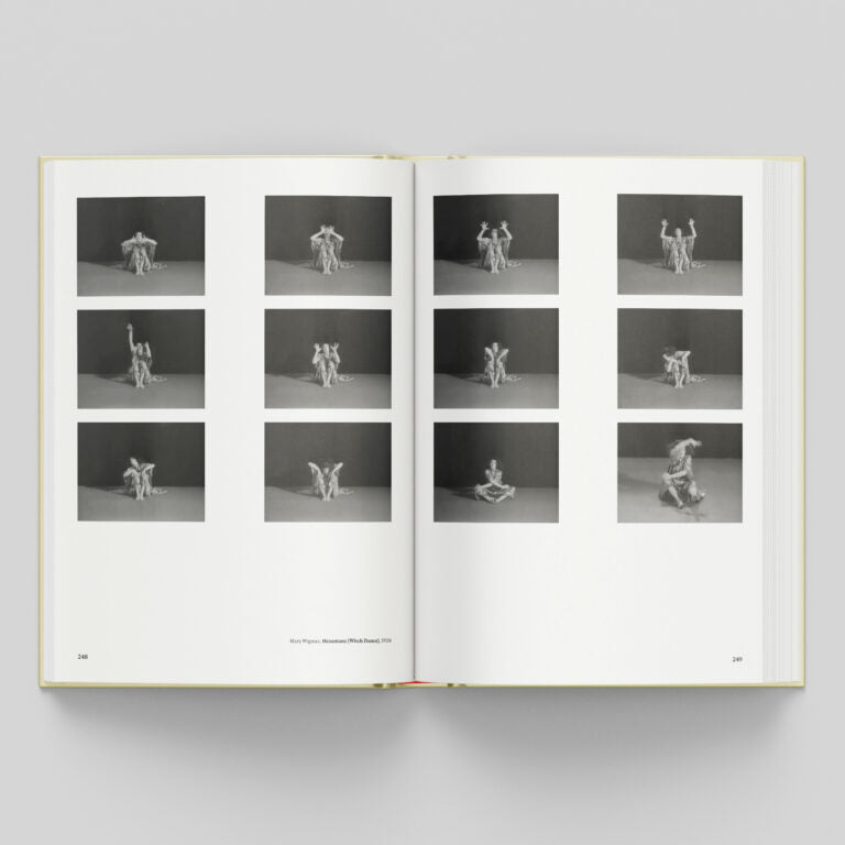 Windows and Mirrors - Djon Mundine