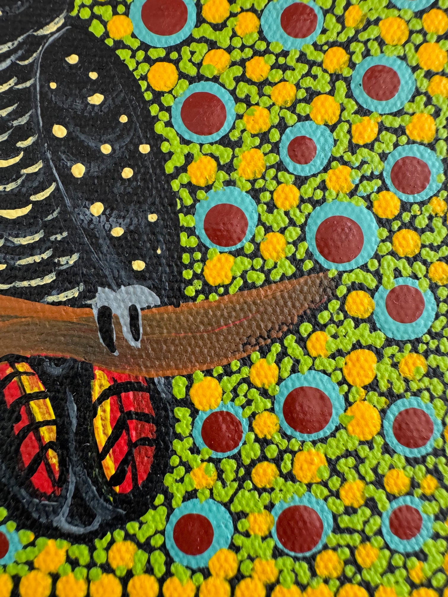 Kathleen Buzzacott - Female Red-Tail Black Cockatoo - Small, Framed .403