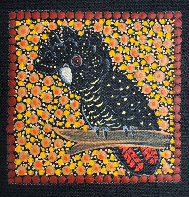 Kathleen Buzzacott - Redtail Black Cockatoo (Female) - Small, Framed .501