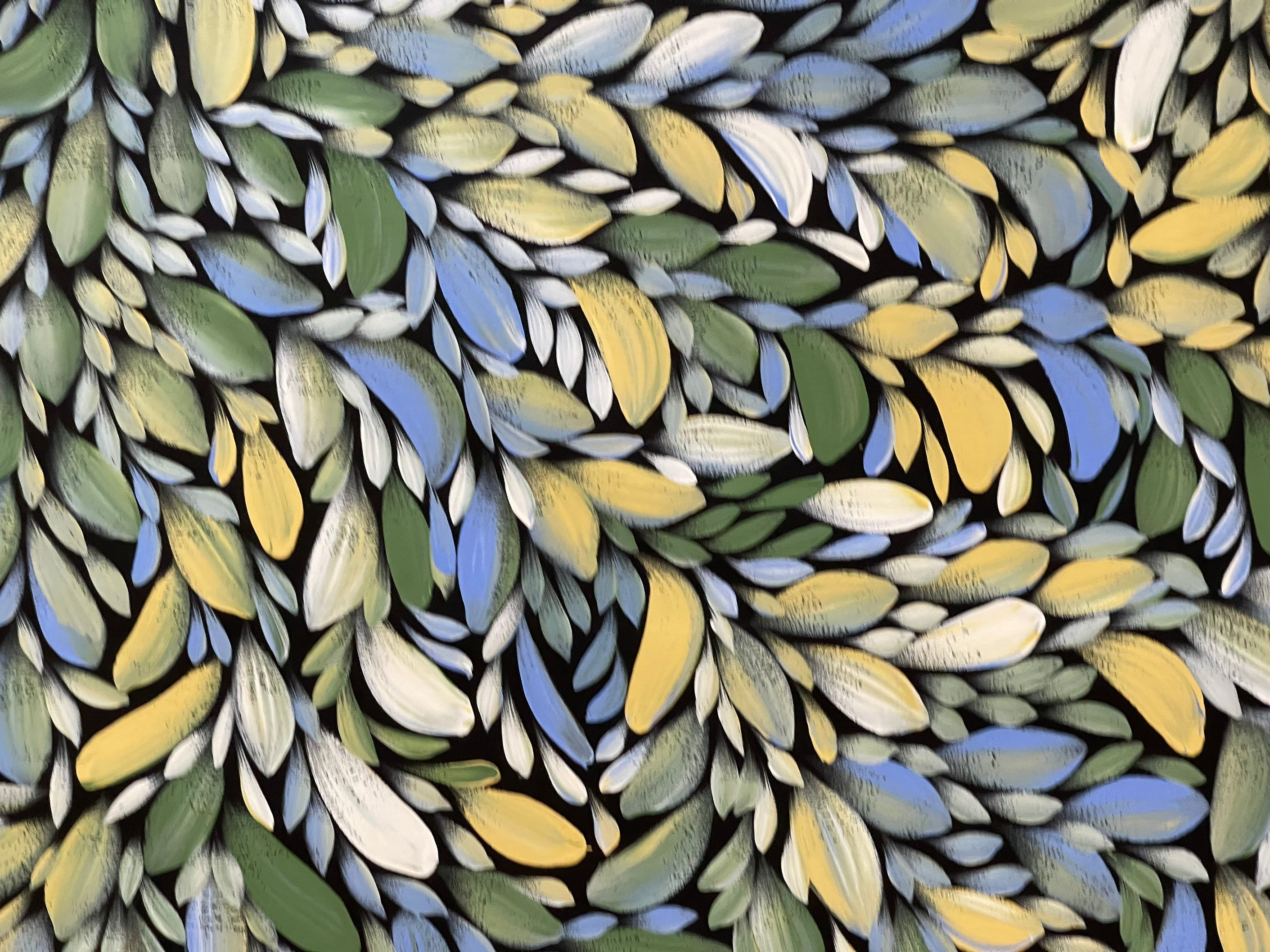 Louise Numina Napananka - Bush Medicine Leaves .13-6