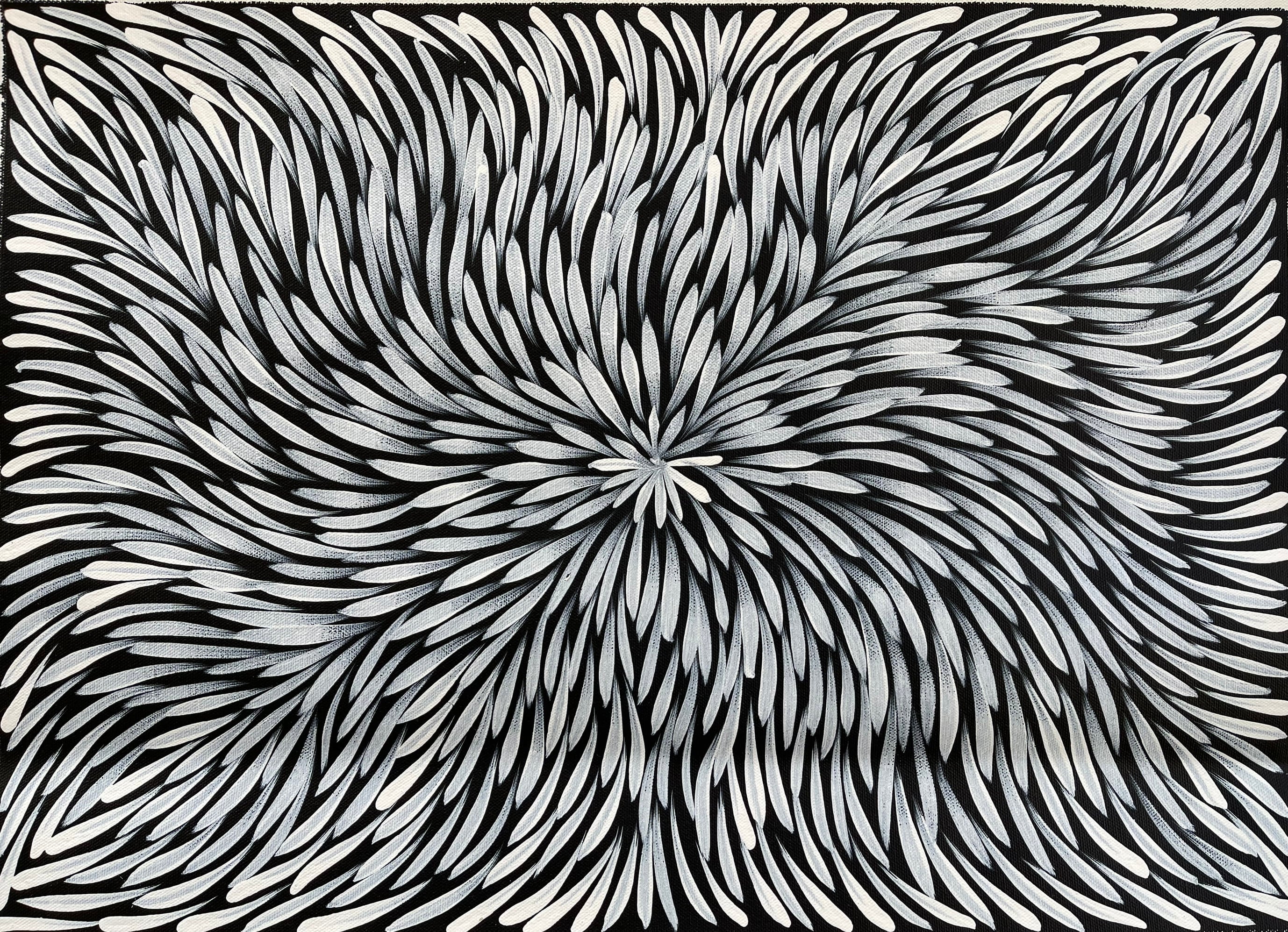 Sharon Numina - Bush Medicine Leaves- 38x53cm .20-9