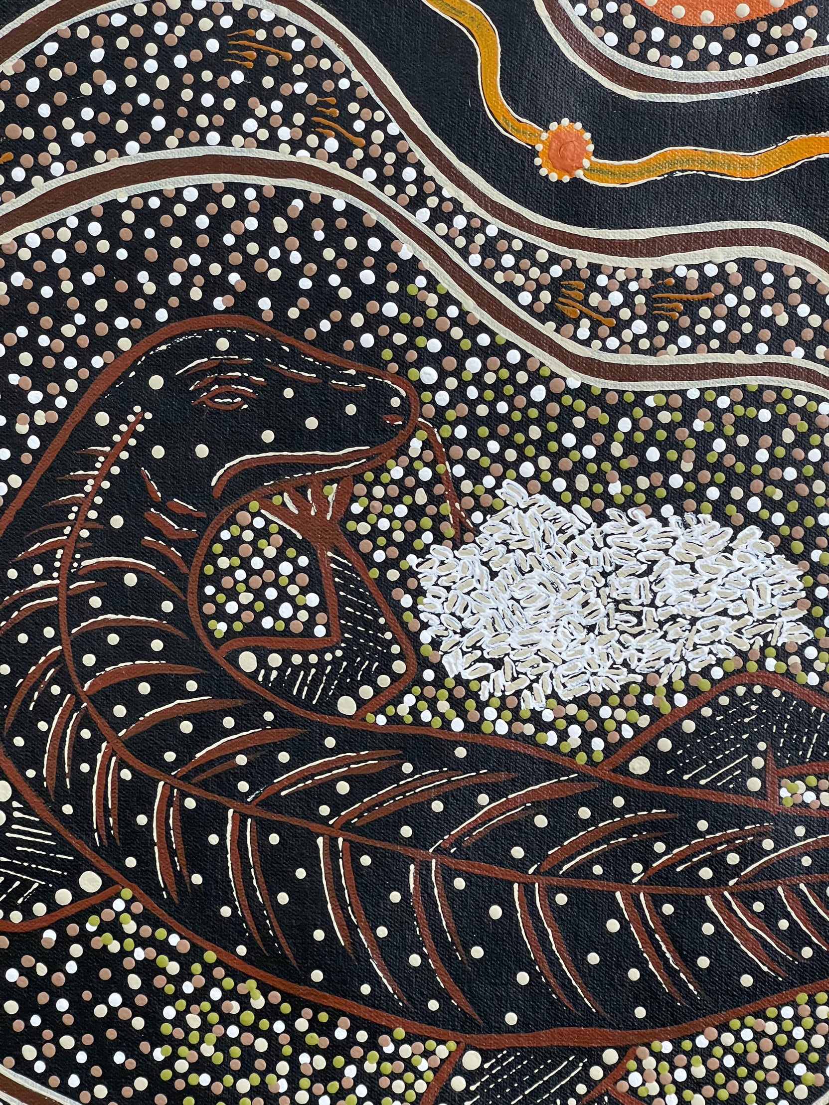 Deidre Burgoyne Rosier - Goanna Protecting Her Eggs - 58x59cm .12-13