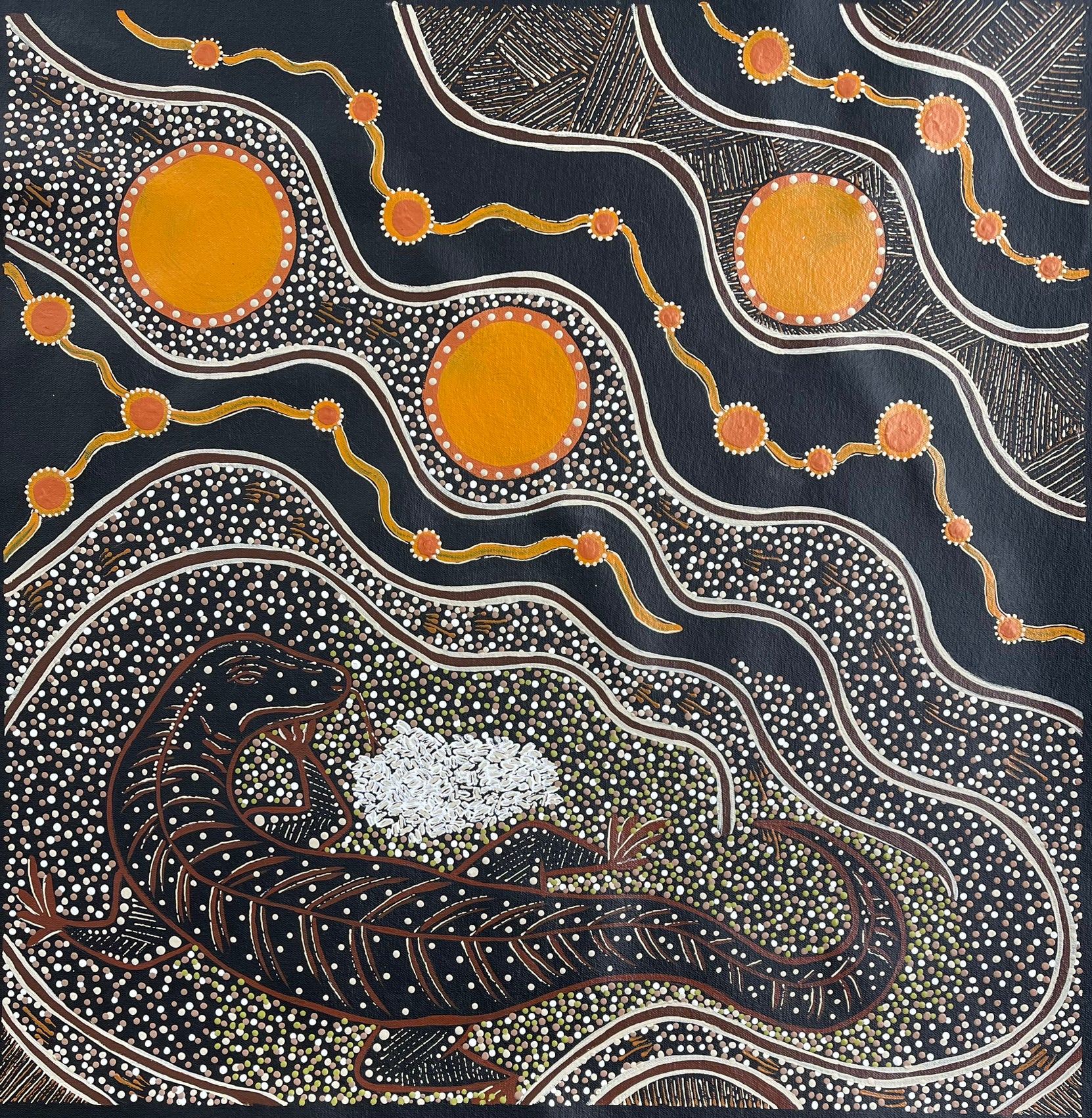Deidre Burgoyne Rosier - Goanna Protecting Her Eggs - 58x59cm .12-13