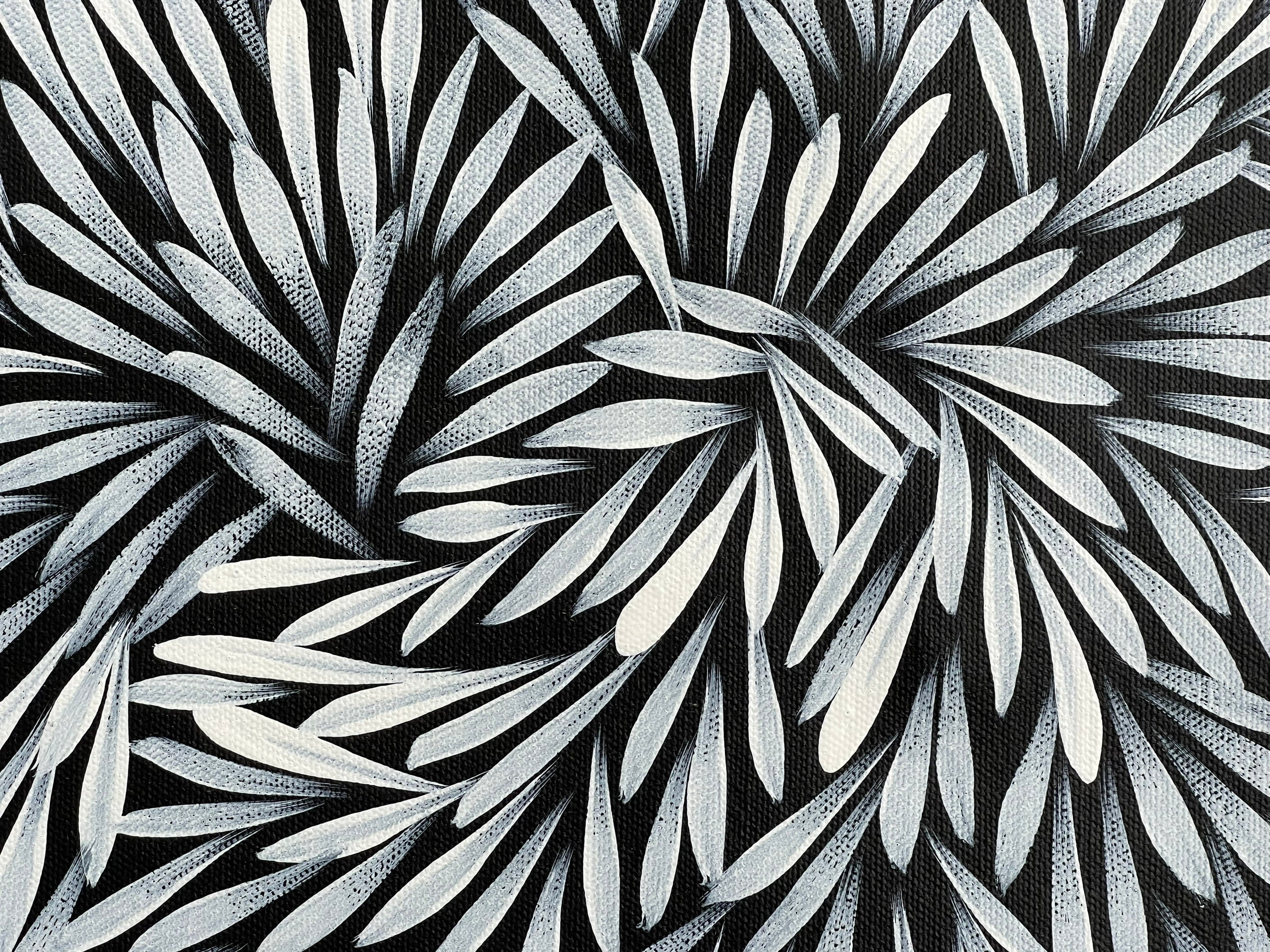 Sharon Numina - Bush Medicine Leaves- 38x53cm .20-3