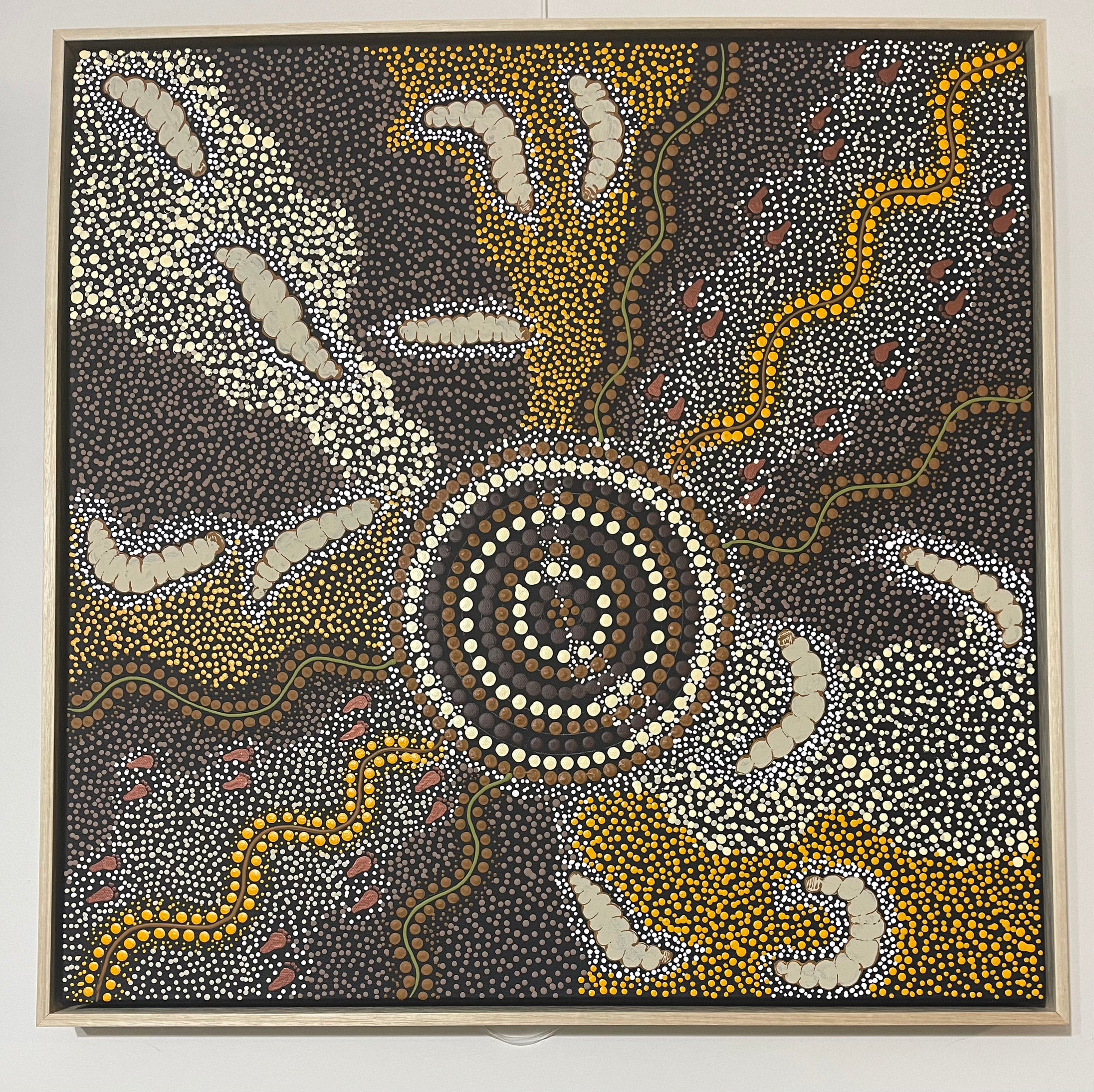 Deidre Burgoyne Rosier - Bush Tucker - 60x60cm .12-17 - Floating frame, ready to hang