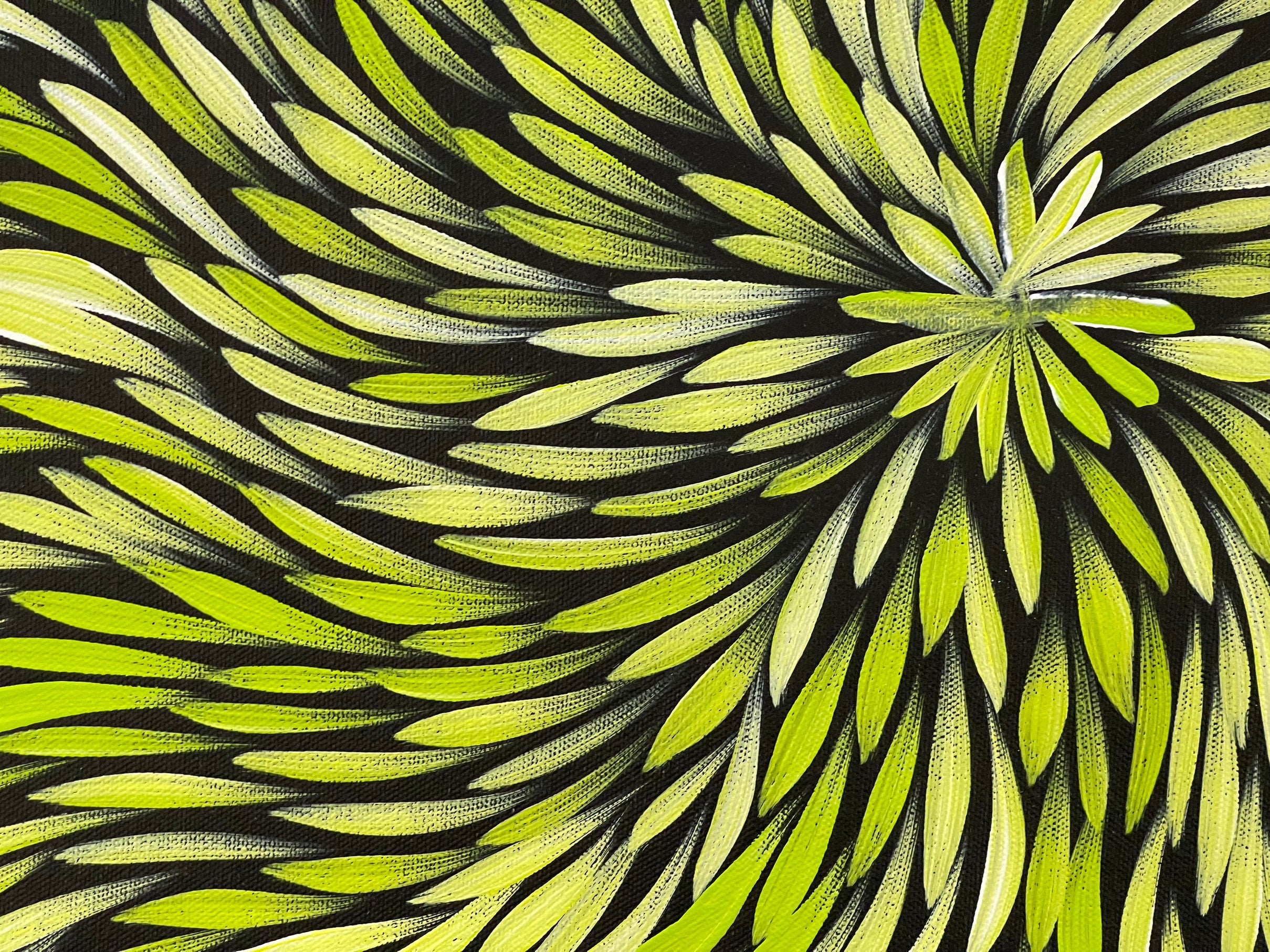 Sharon Numina - Bush Medicine Leaves- 53x38cm .99-17