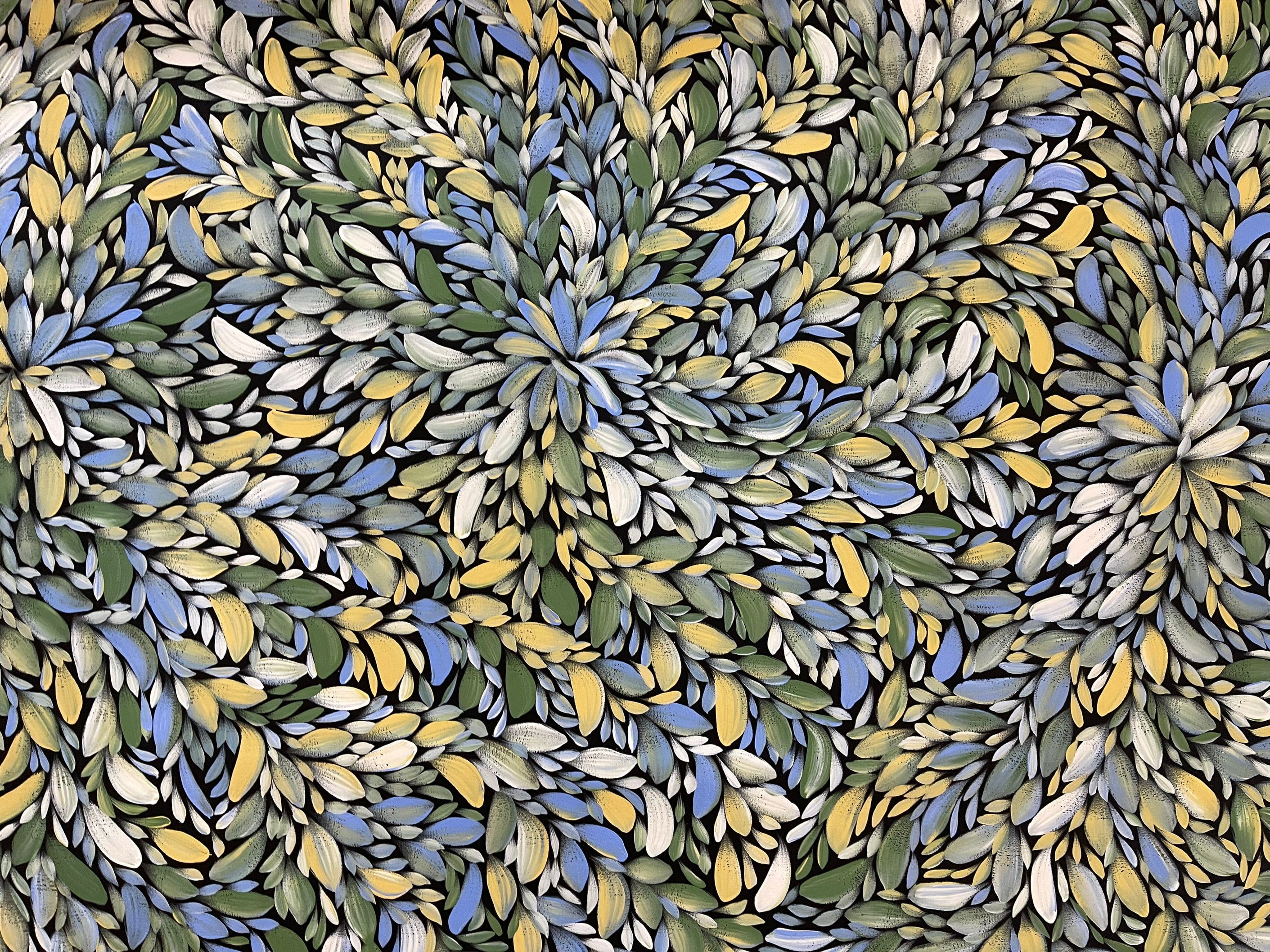 Louise Numina Napananka - Bush Medicine Leaves .13-6