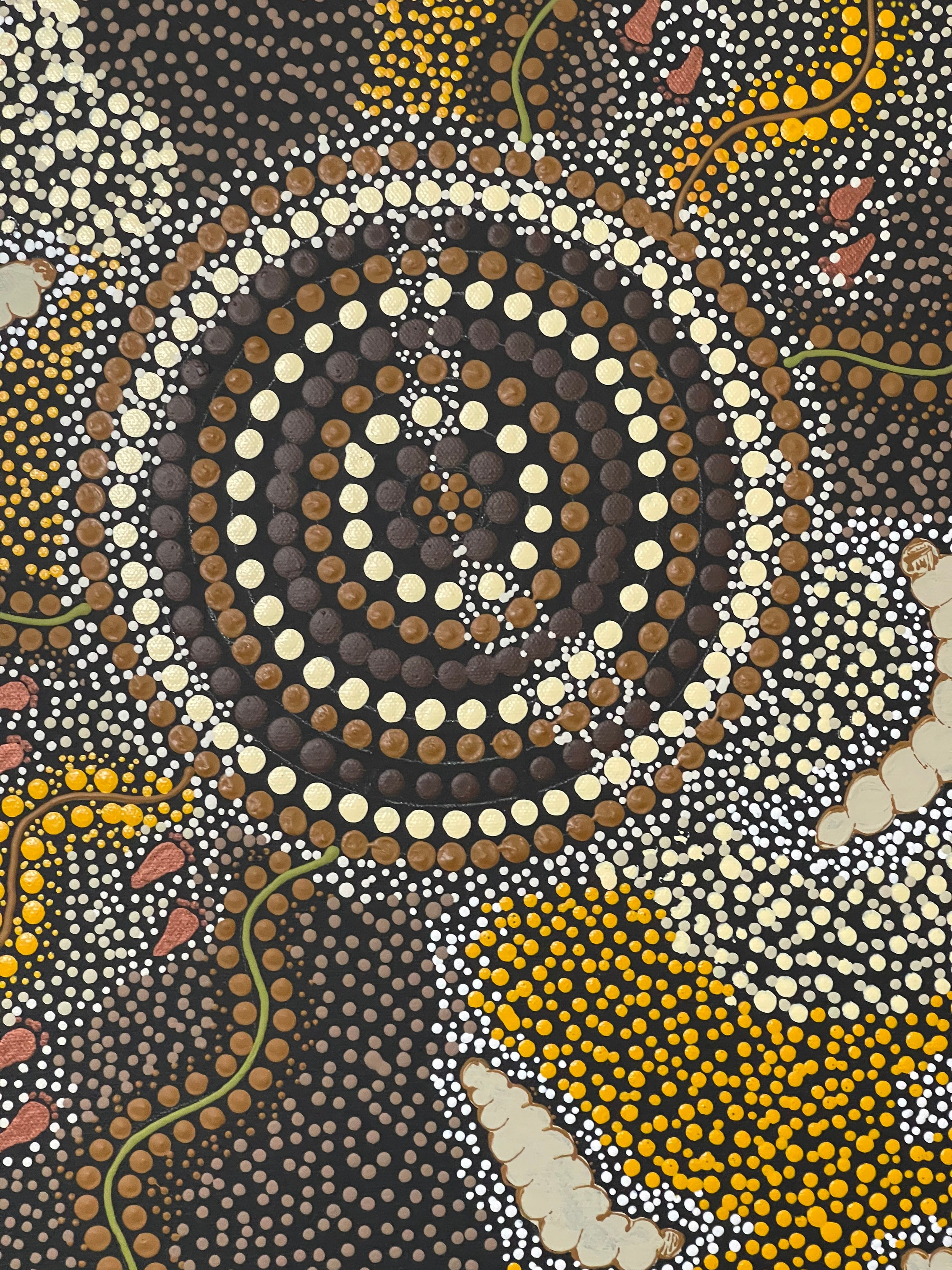 Deidre Burgoyne Rosier - Bush Tucker - 60x60cm .12-17 - Floating frame, ready to hang