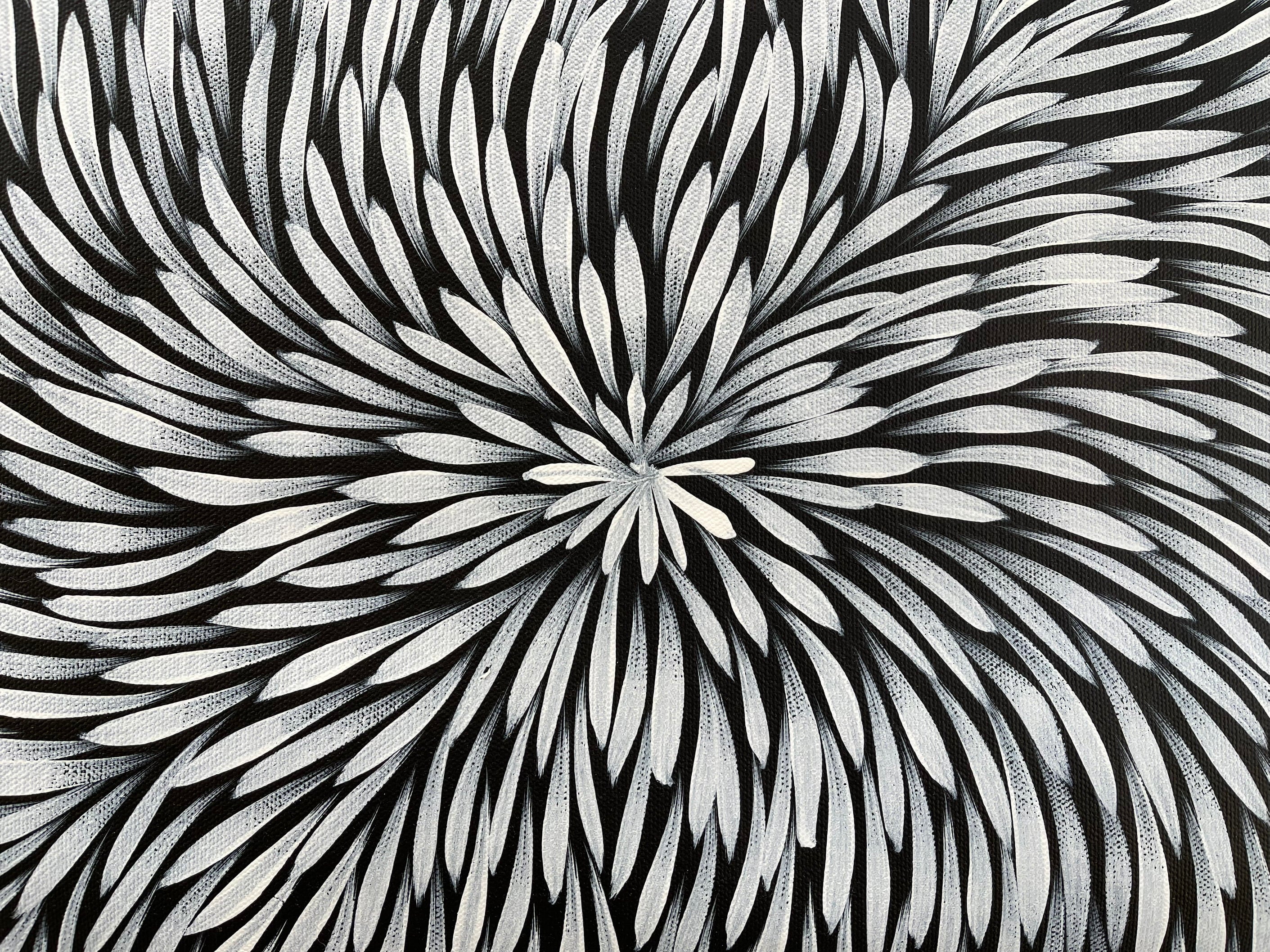 Sharon Numina - Bush Medicine Leaves- 38x53cm .20-9