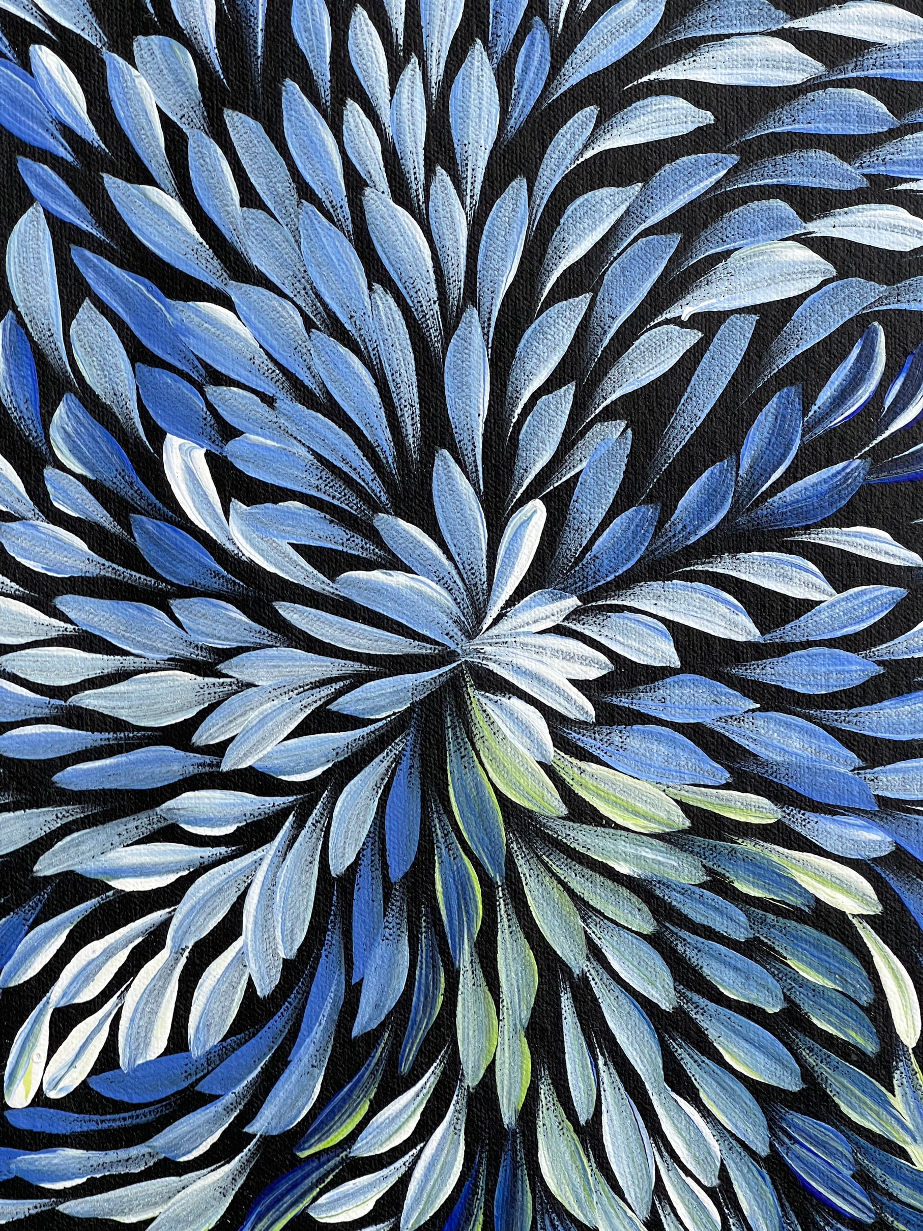 Caroline Numina - Bush Medicine Leaves - 37x38cm .53-25