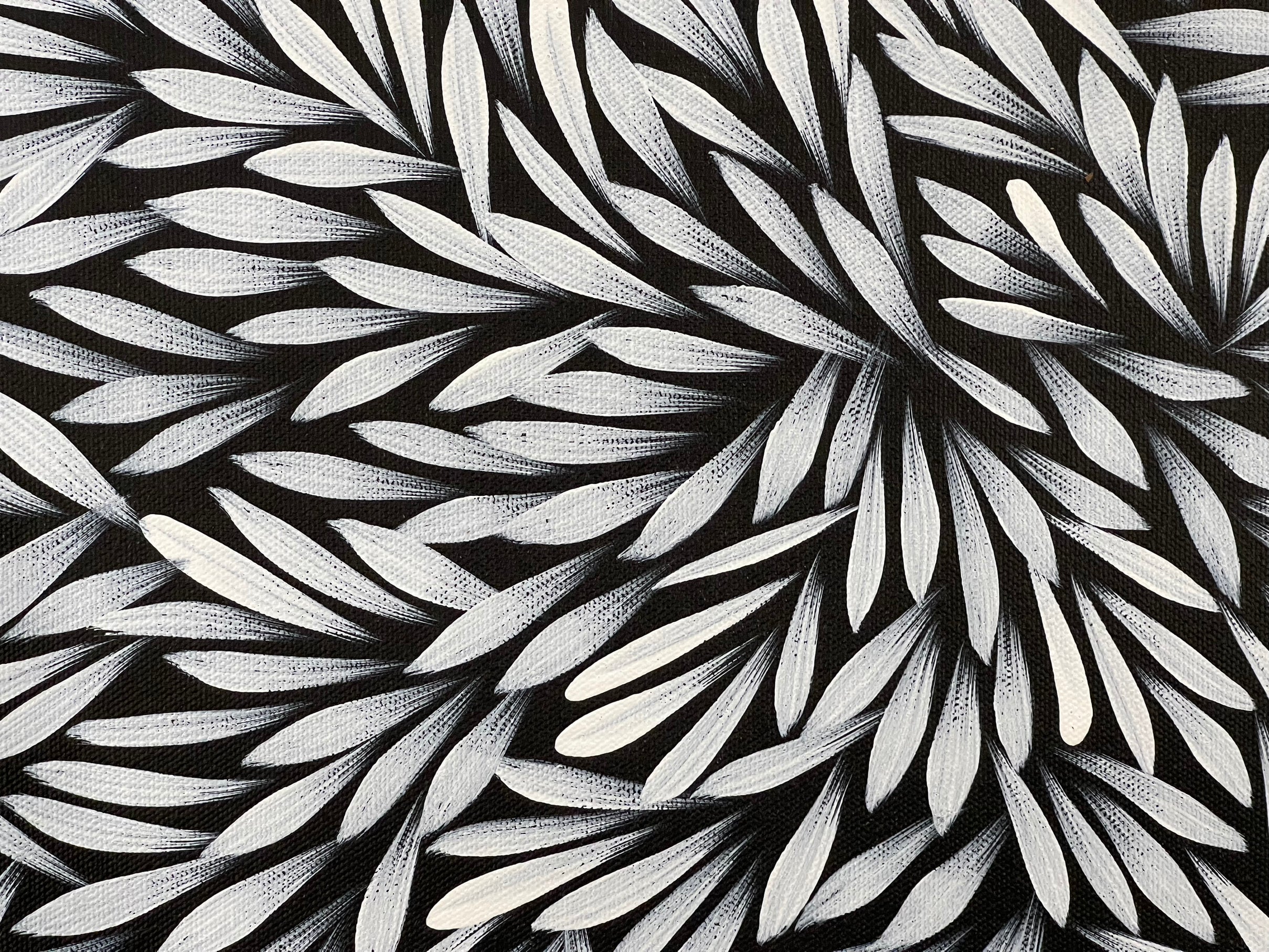 Sharon Numina - Bush Medicine Leaves- 53x38cm .99-14