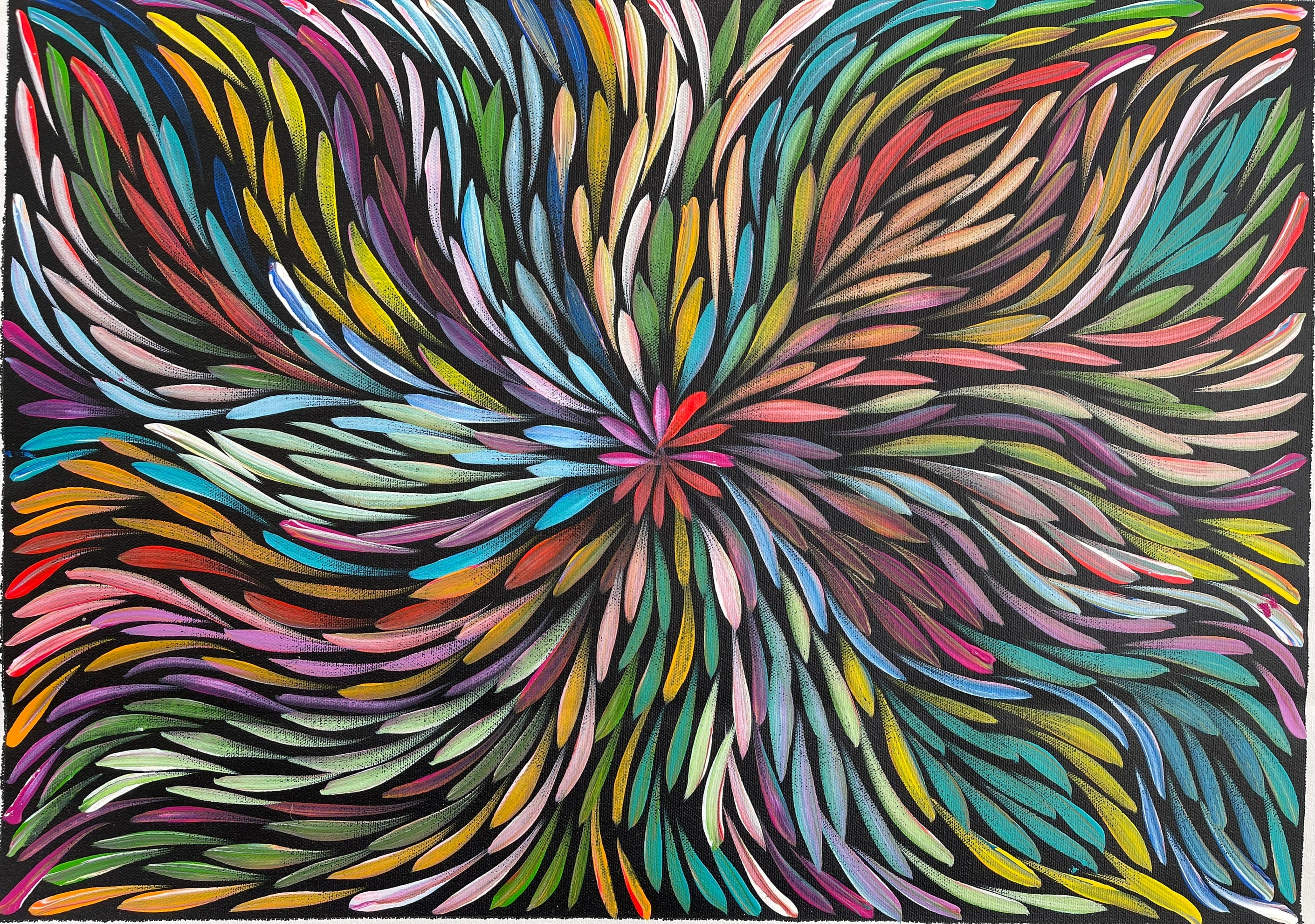 Sharon Numina - Bush Medicine Leaves- 38x53cm .20-2