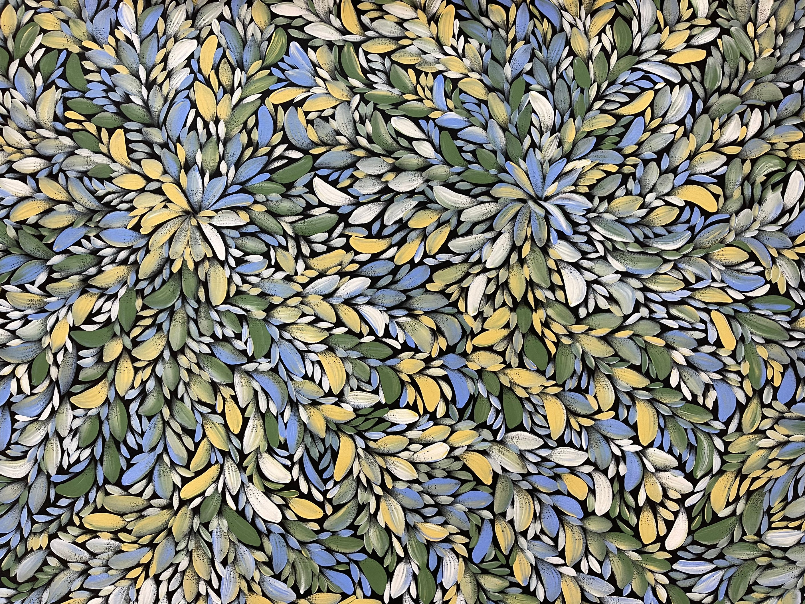 Louise Numina Napananka - Bush Medicine Leaves .13-6