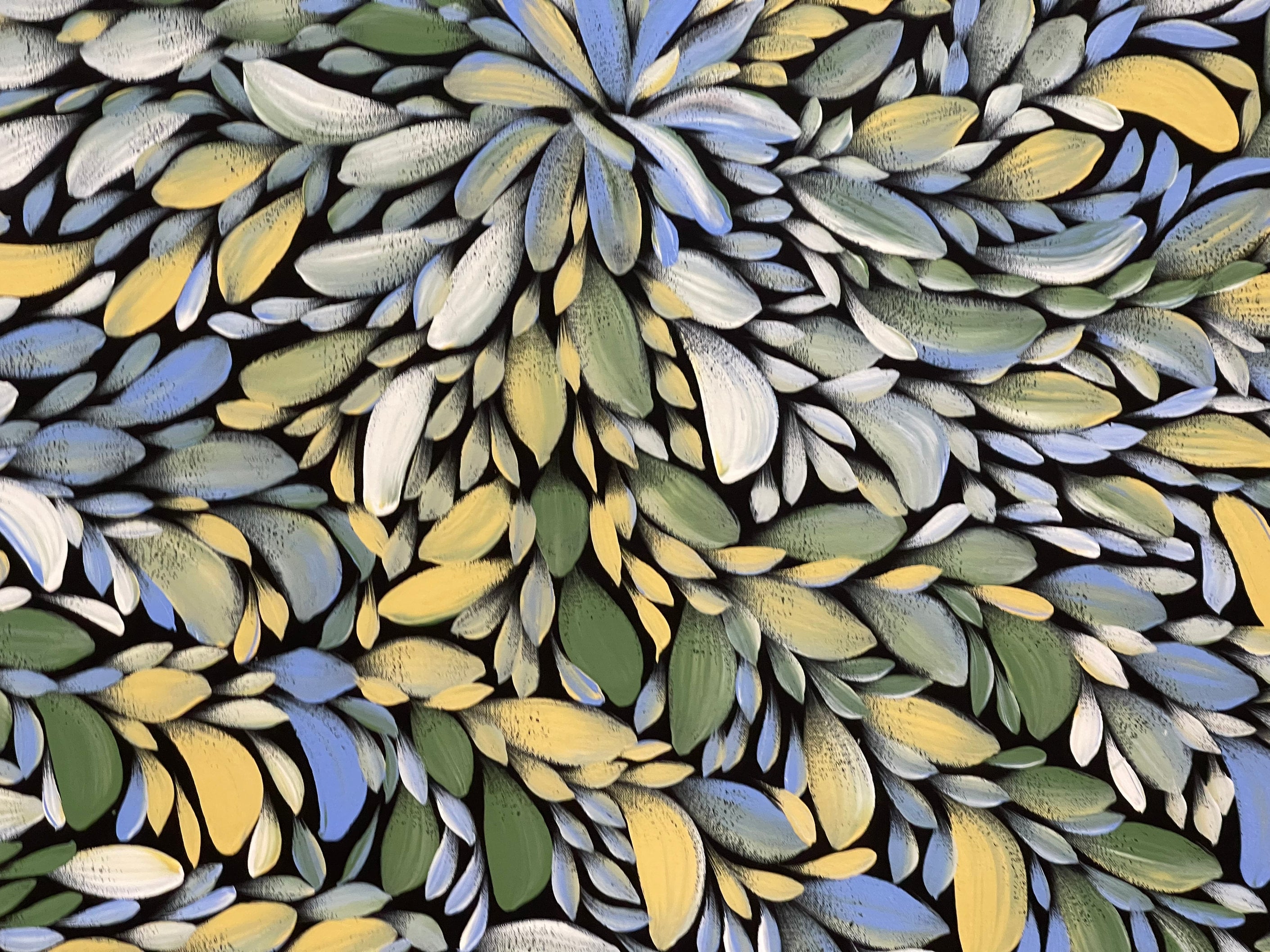 Louise Numina Napananka - Bush Medicine Leaves .13-6