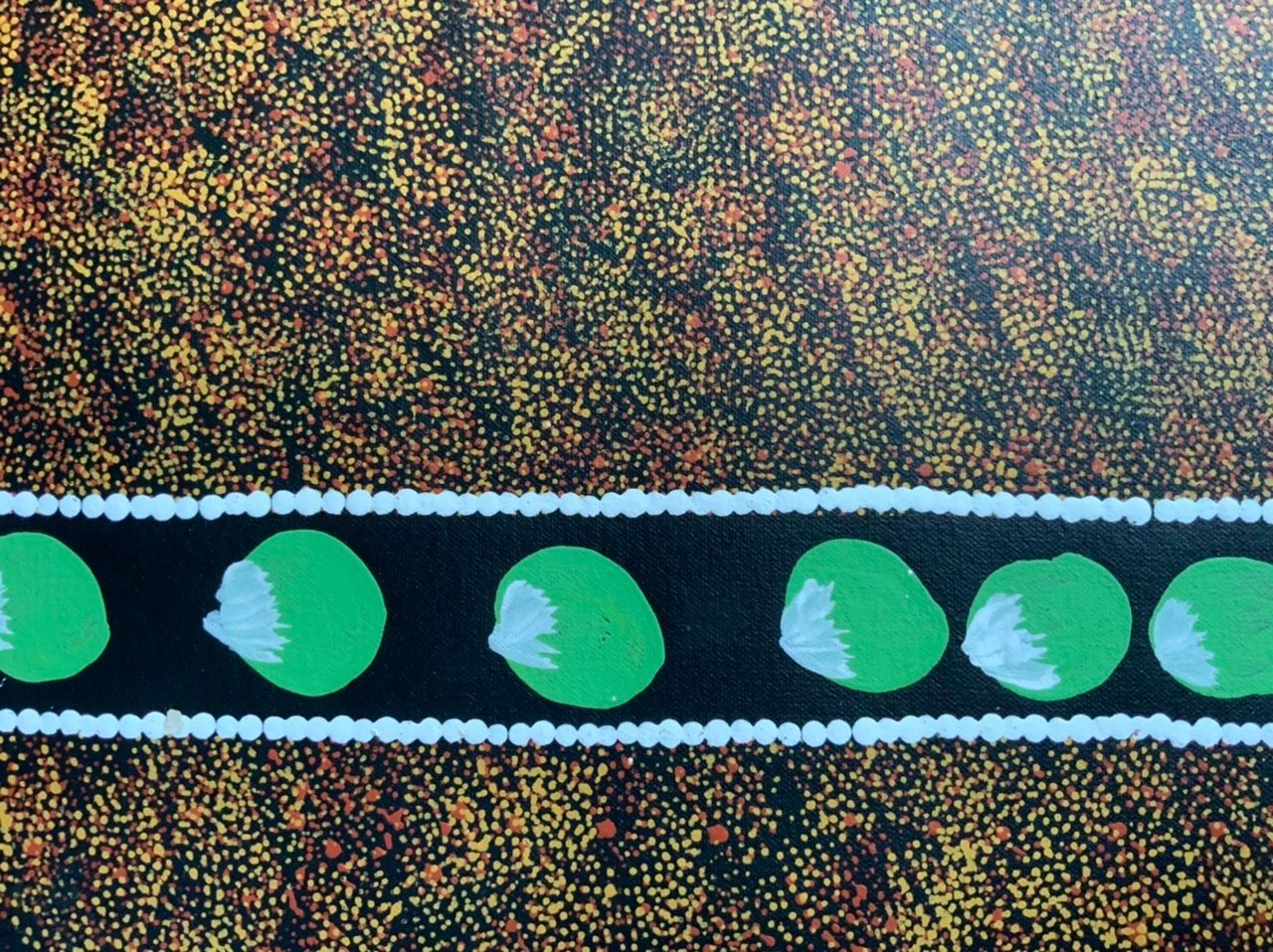 Barbara Pananka - Bush Tucker - 85x109cm .90-13