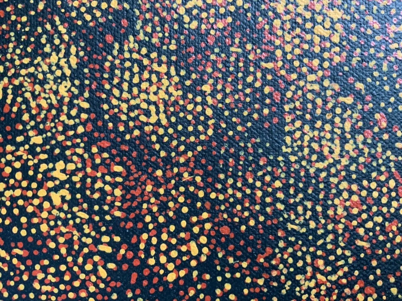 Barbara Pananka - Bush Tucker - 85x109cm .90-13