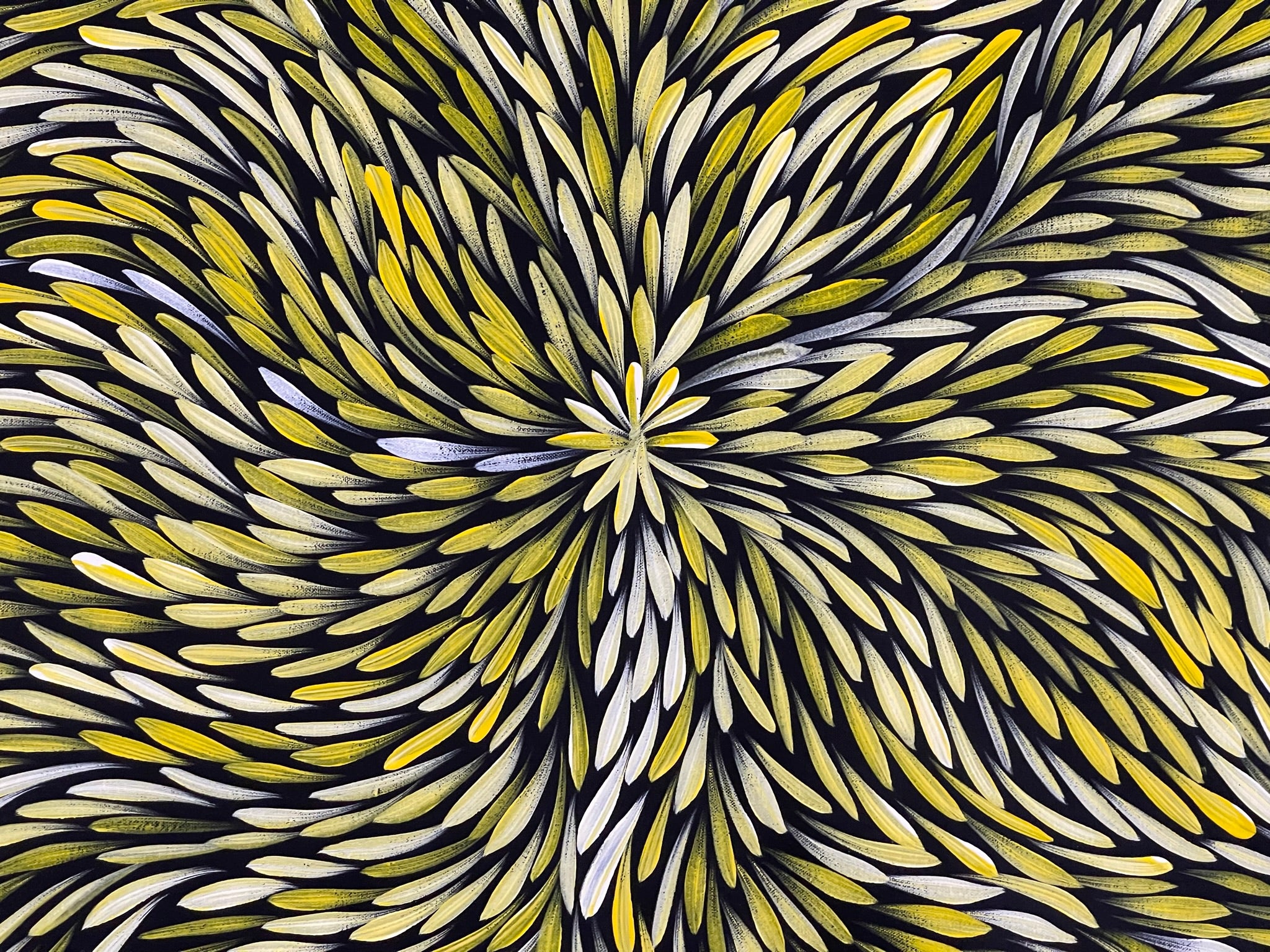 Sharon Numina - Bush Medicine Leaves - 129x96cm .52-4