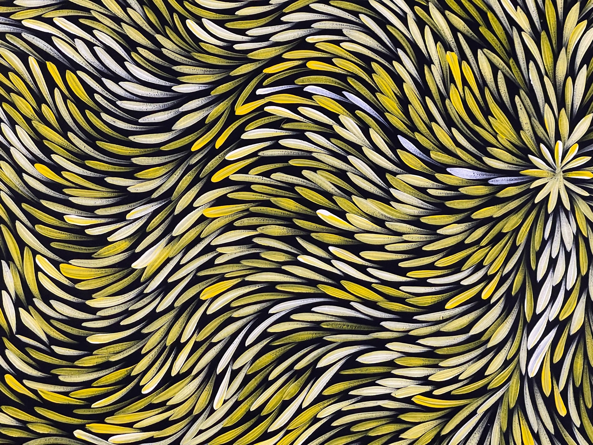 Sharon Numina - Bush Medicine Leaves - 129x96cm .52-4