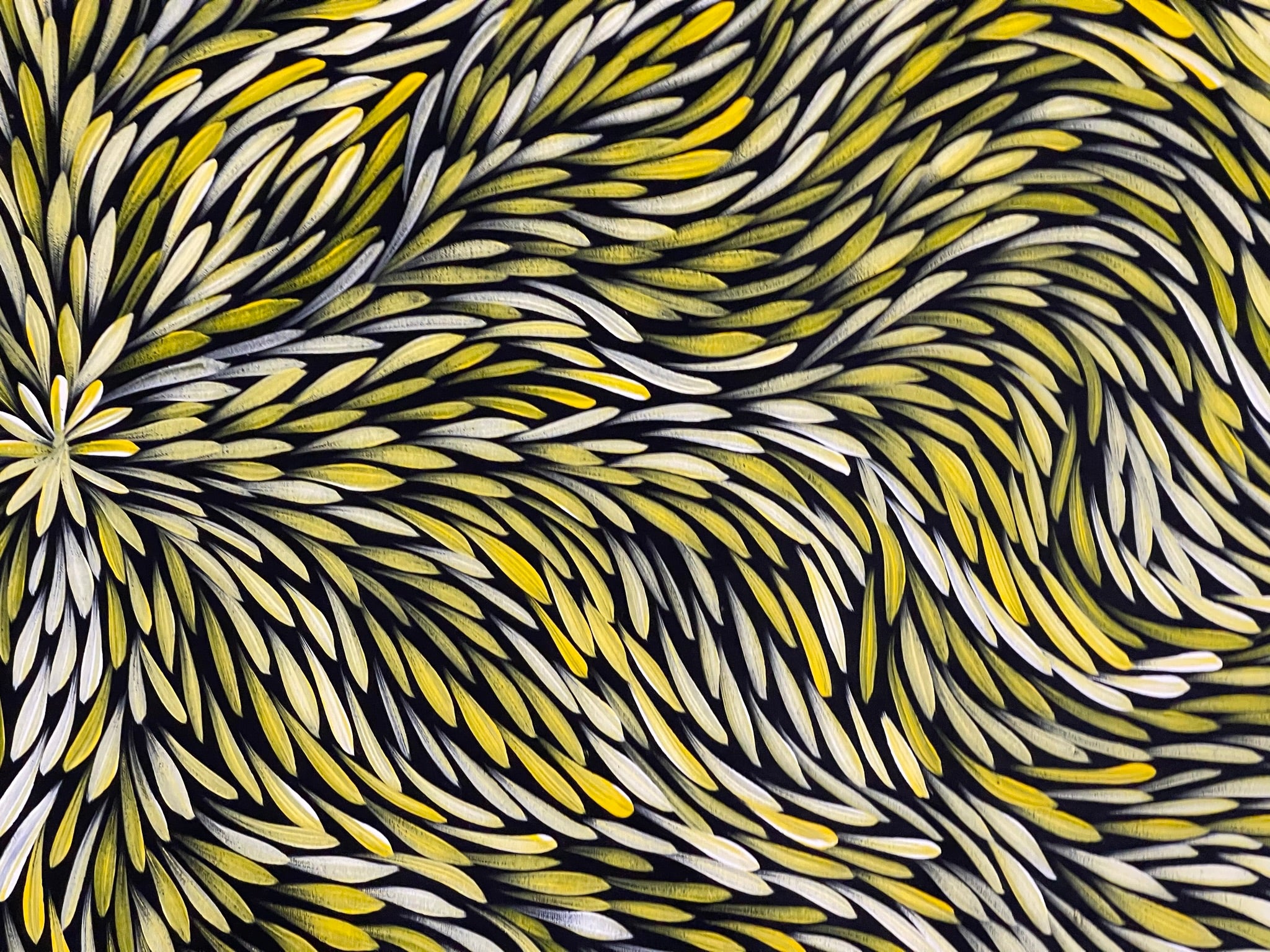Sharon Numina - Bush Medicine Leaves - 129x96cm .52-4