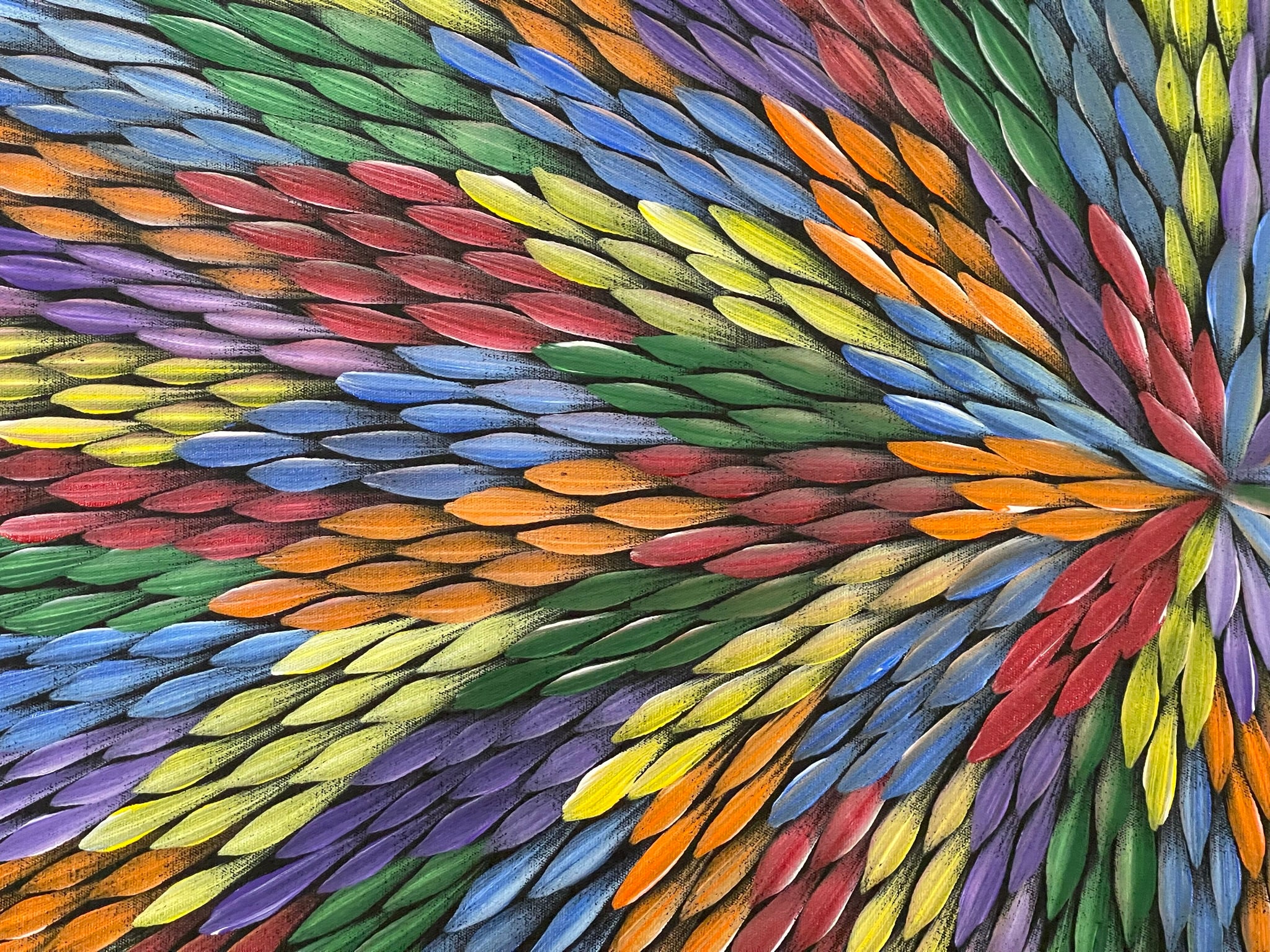 Maryanne Gibson - Bush Medicine - 90x43cm 56-17