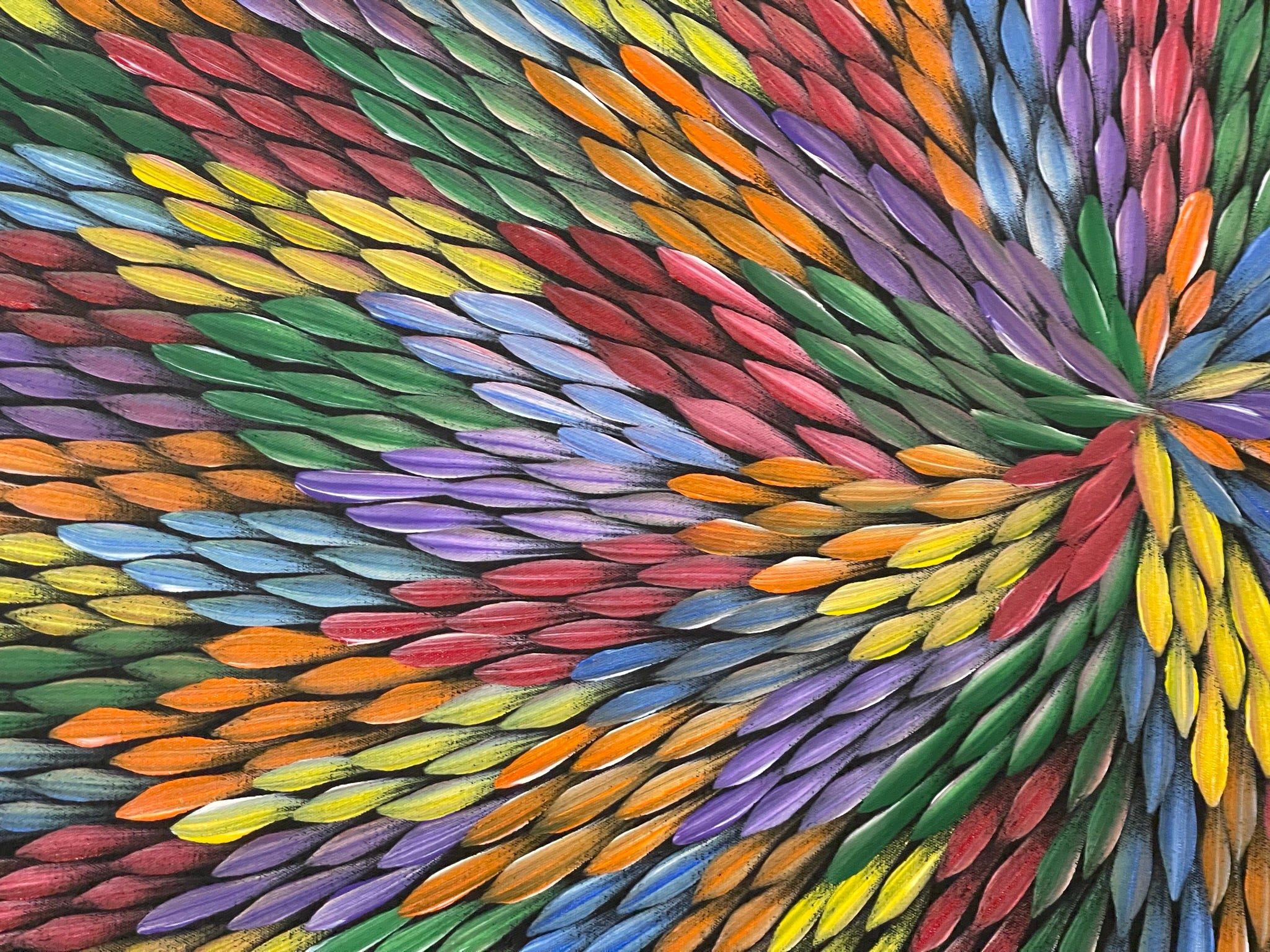 Maryanne Gibson - Bush Medicine .56-16