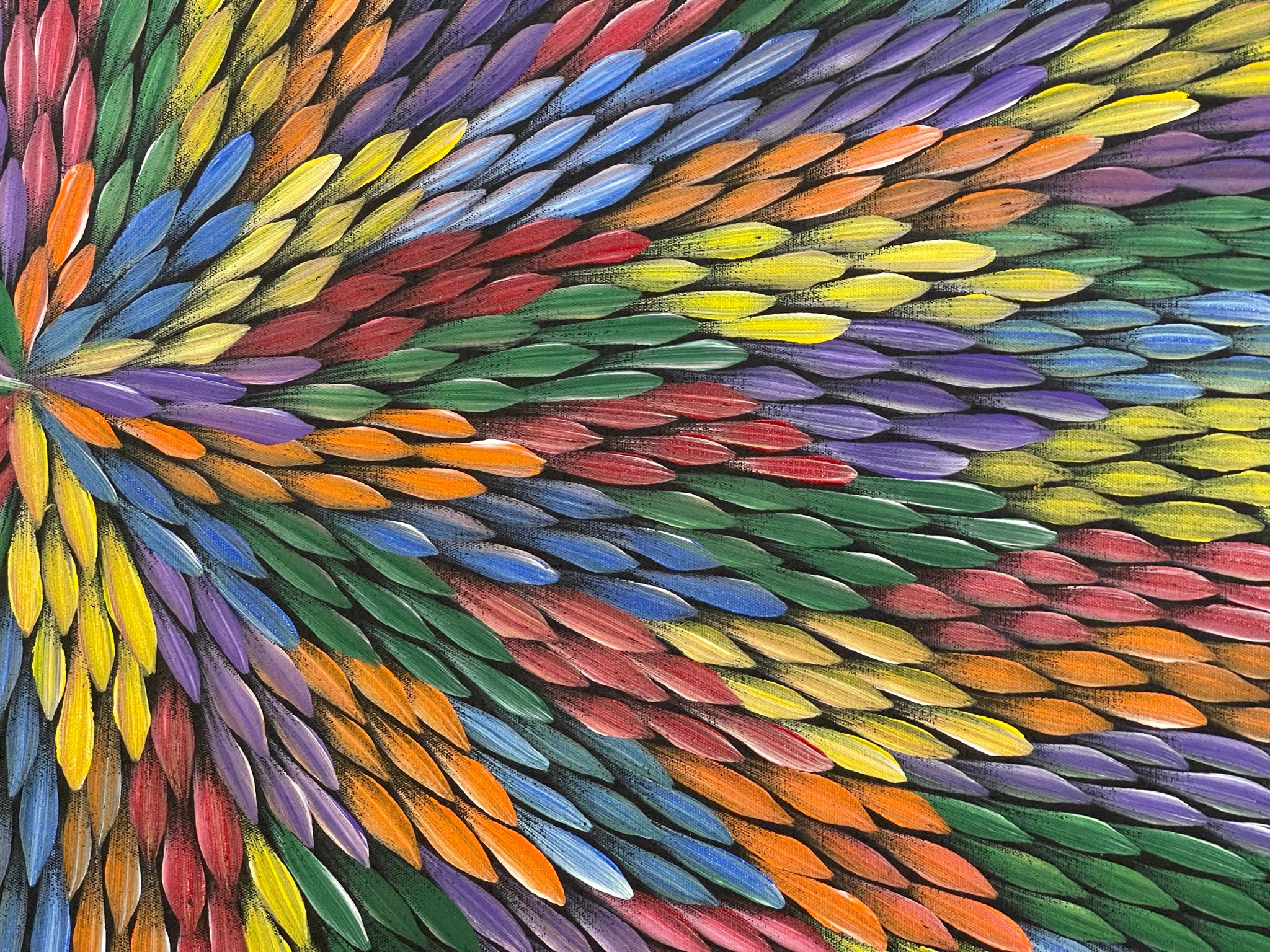 Maryanne Gibson - Bush Medicine .56-16