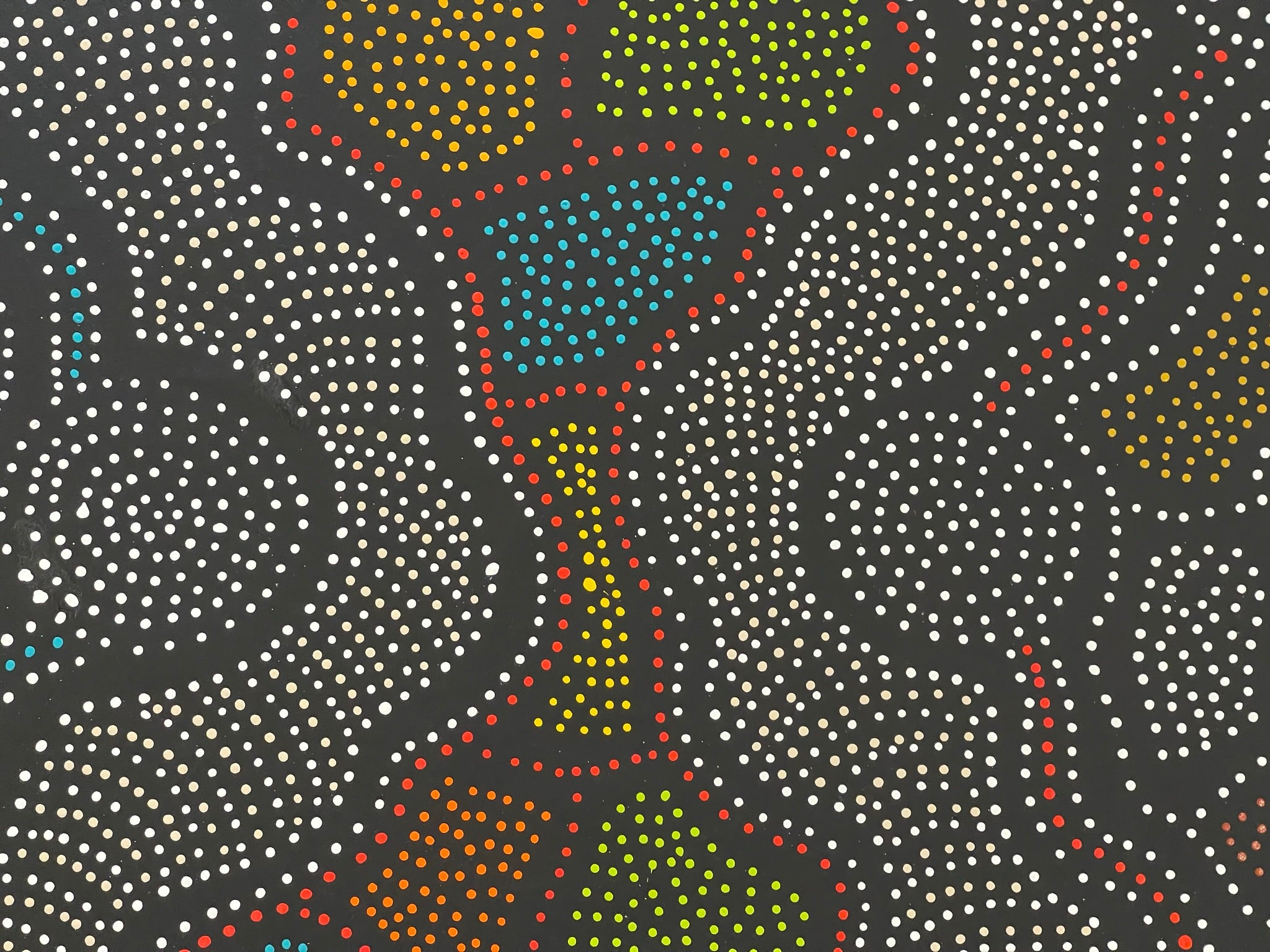 Jacinta Numina Waugh - Thorny Lizard - 107x89cm .13-4