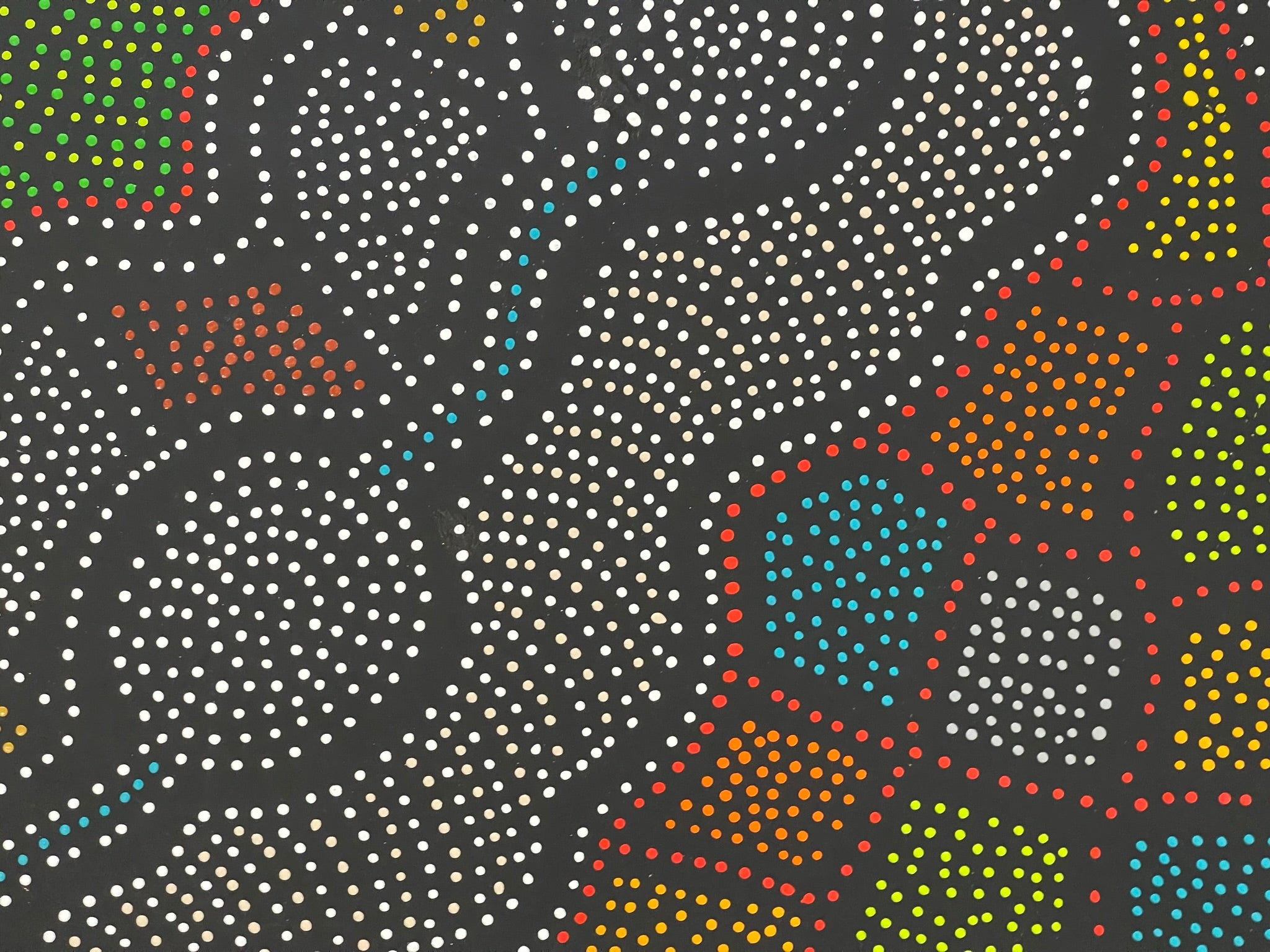 Jacinta Numina Waugh - Thorny Lizard - 107x89cm .13-4