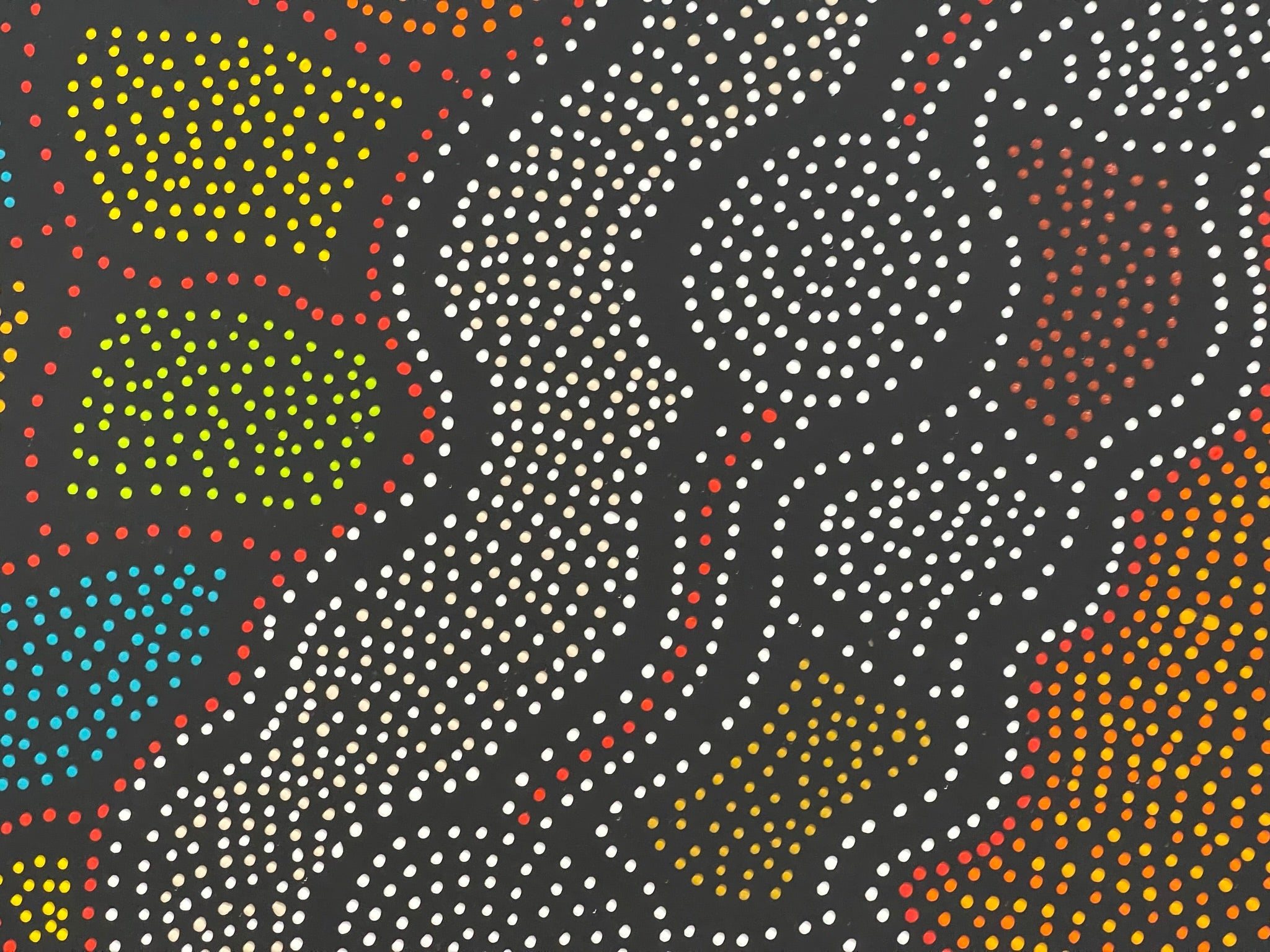 Jacinta Numina Waugh - Thorny Lizard - 107x89cm .13-4