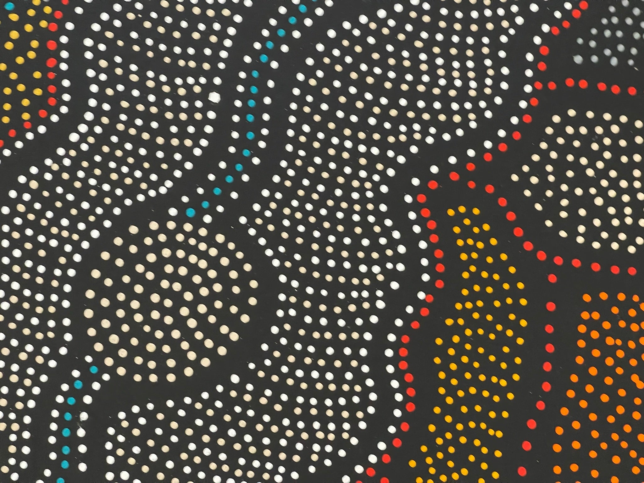 Jacinta Numina Waugh - Thorny Lizard - 106x89cm .13-2