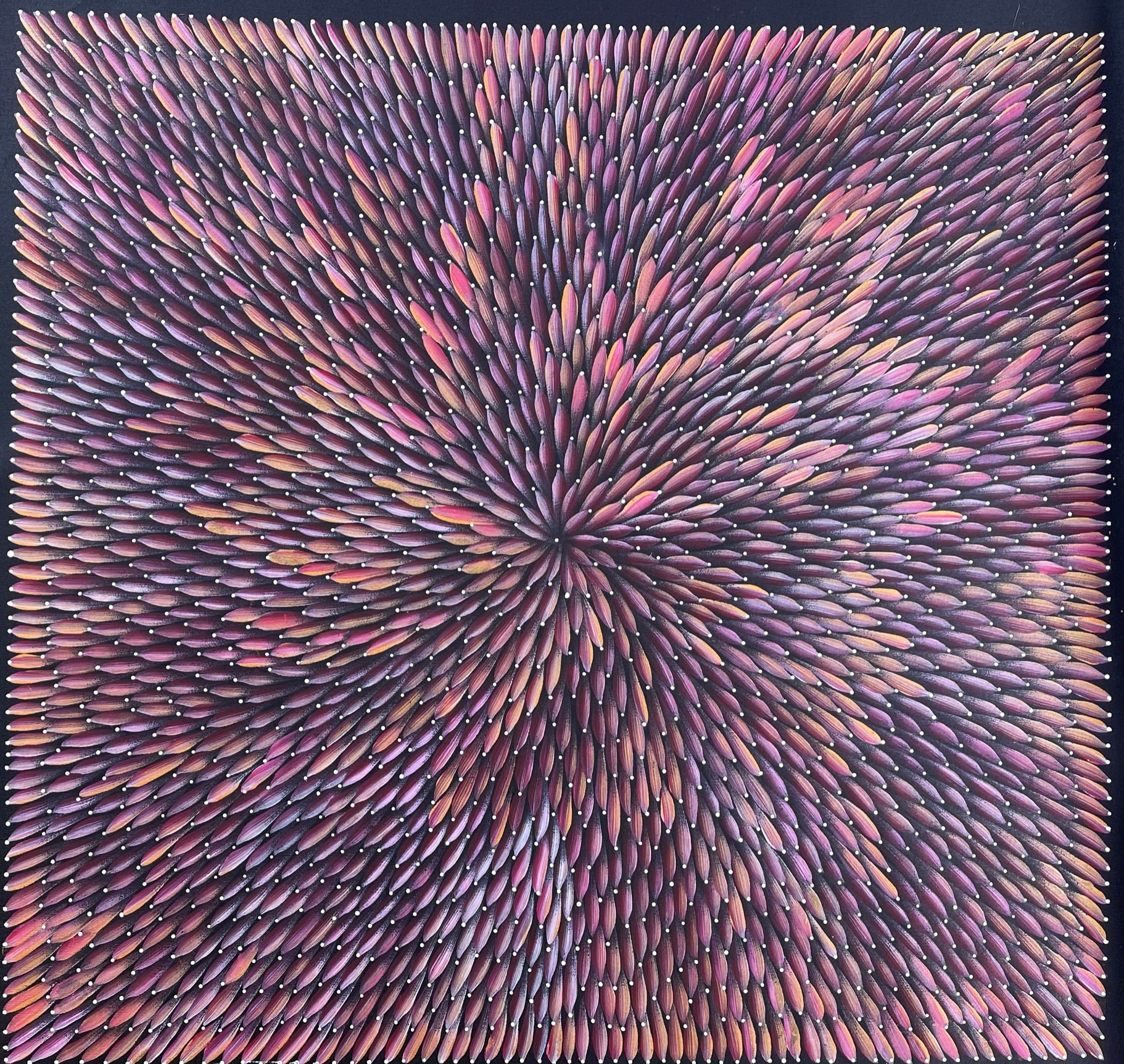 Maryanne Gibson - Bush Medicine Bush Seeds .56-2