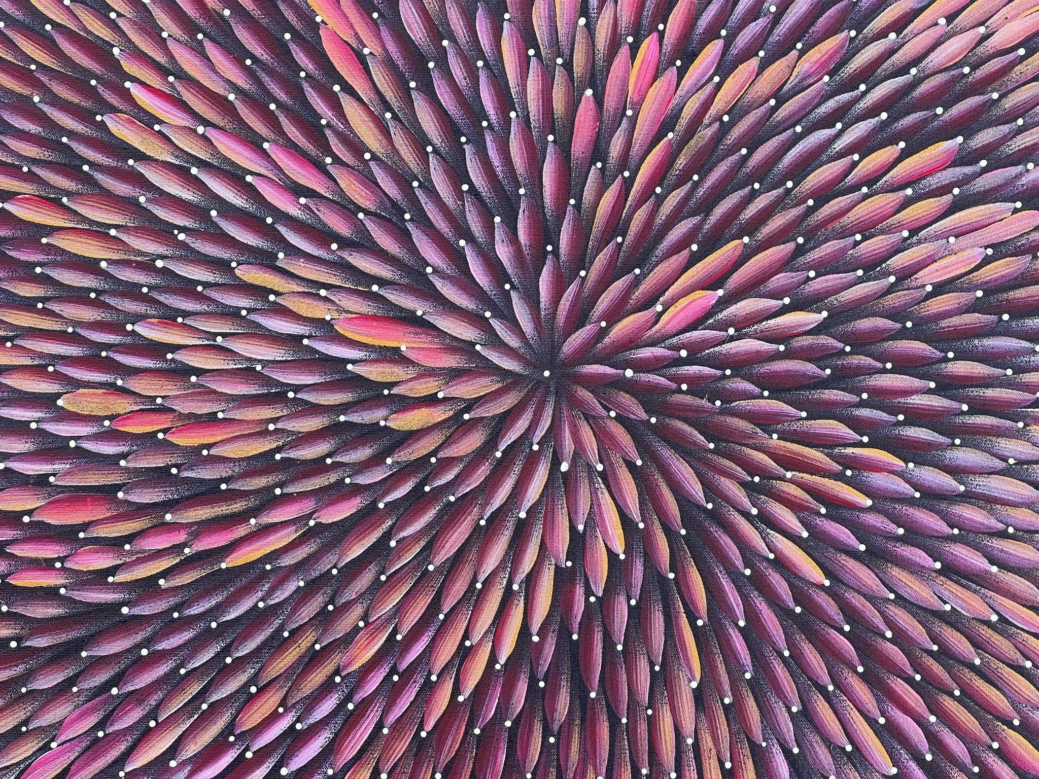 Maryanne Gibson - Bush Medicine Bush Seeds .56-2